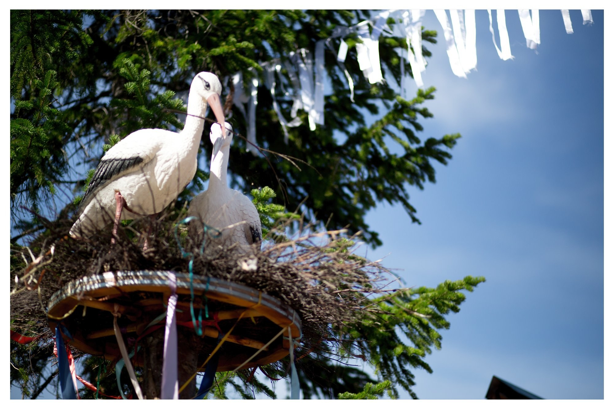 Свадьба Леши и Наташи. Фотограф Георгий Сапожников