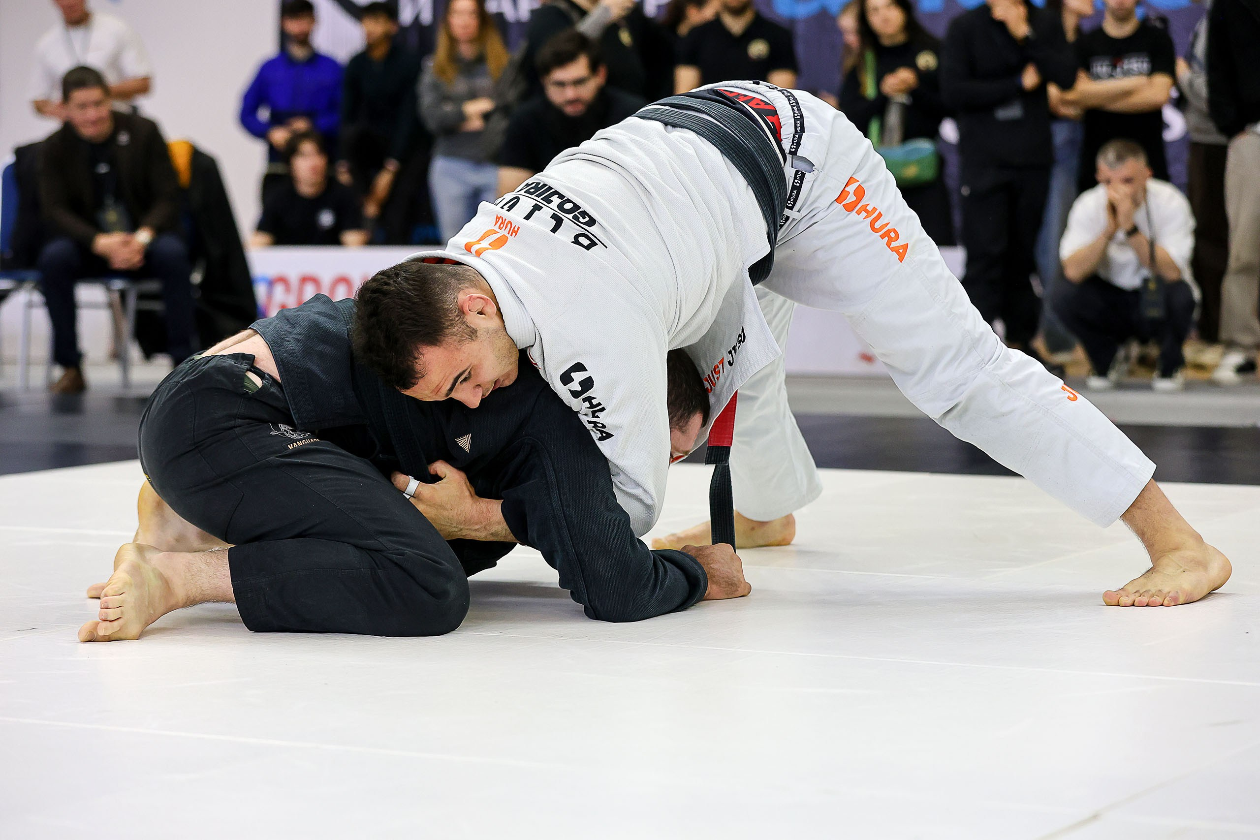 BJJ. Спортивный фотограф в Нижнем Новгороде и Сочи Ангелина Ильичева