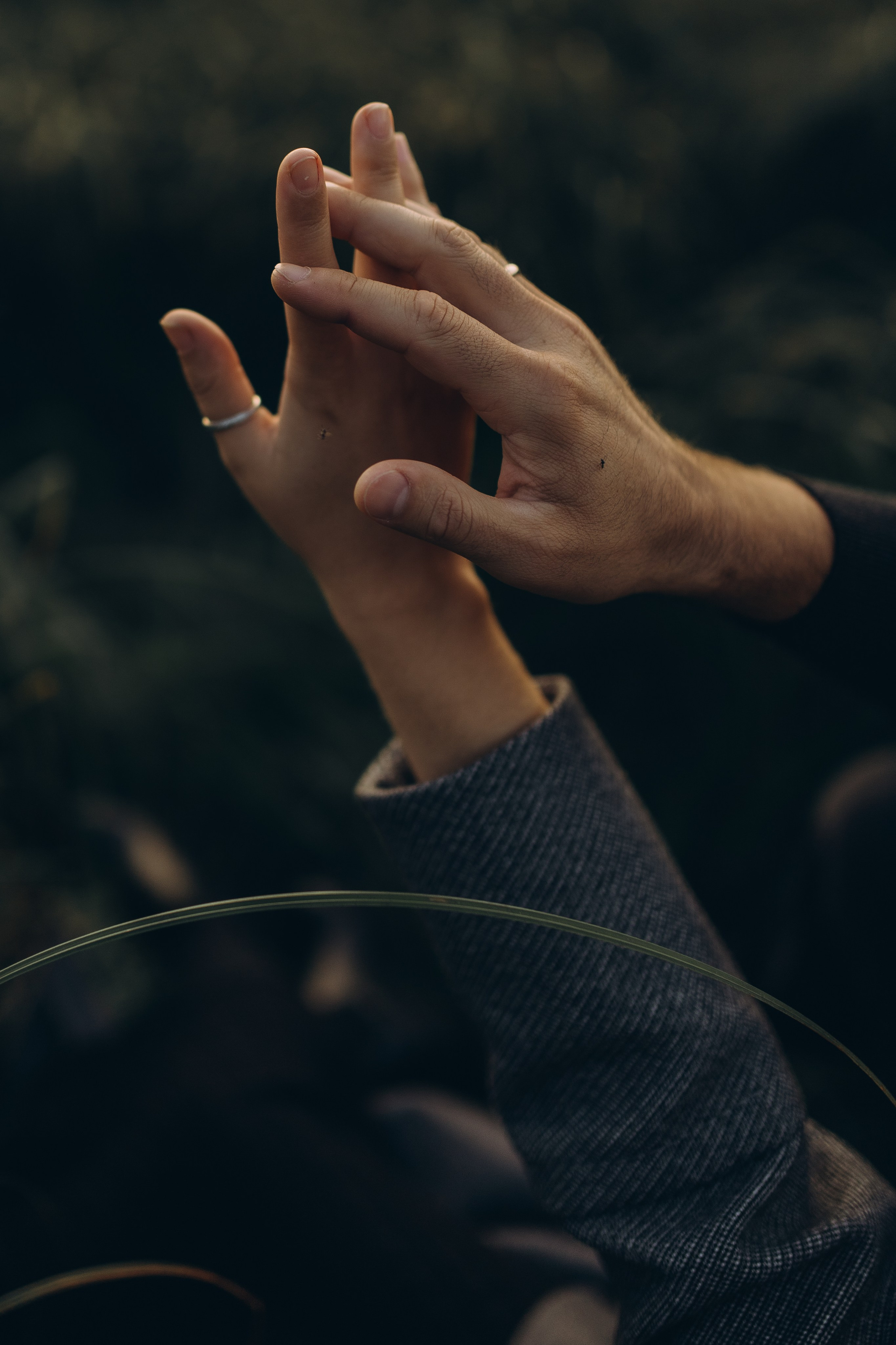 Надежда и Максим. Свадебные фотографы в г. Сургут Маркова Наталья и Замахина Елена