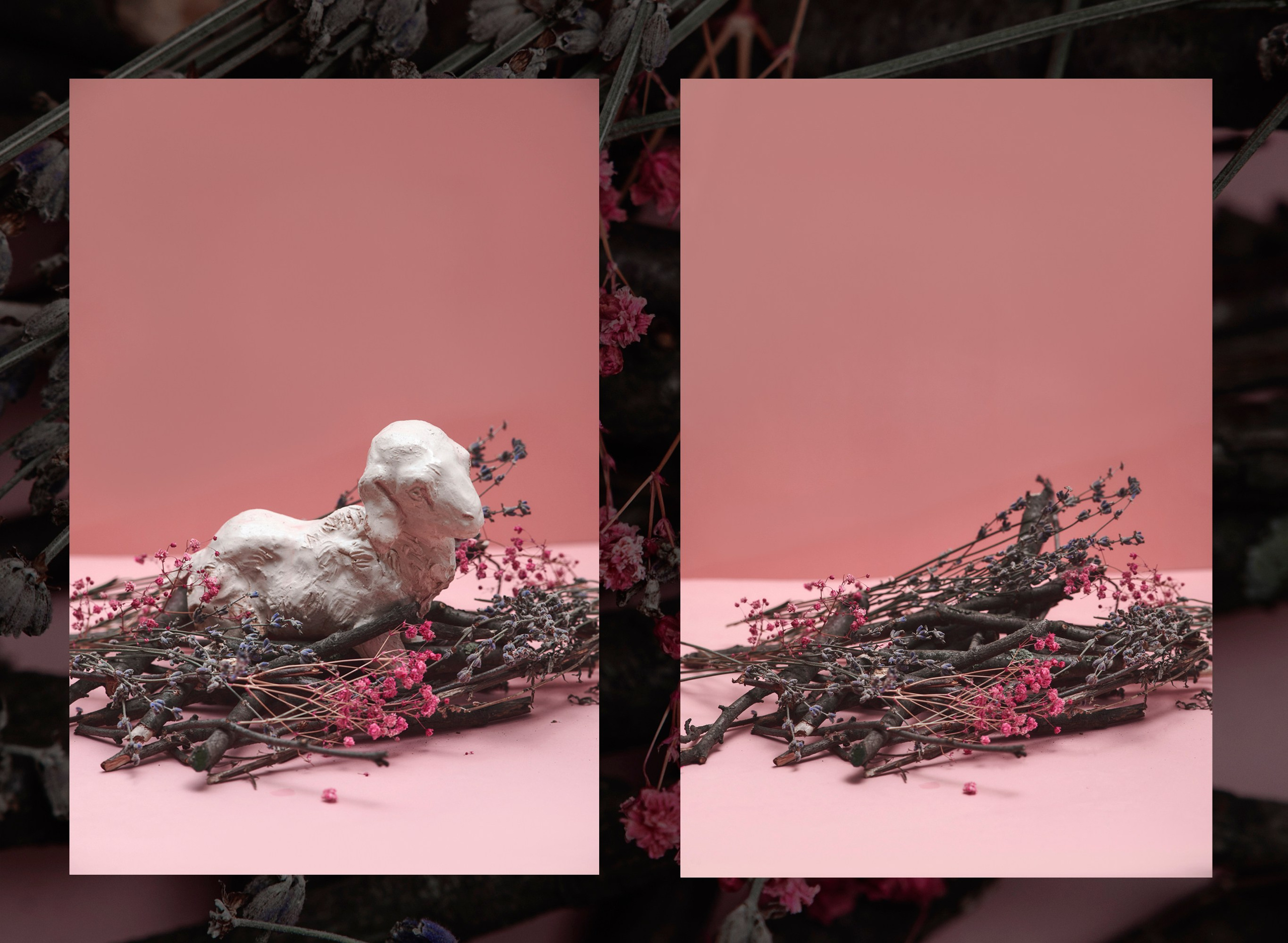 УЯЗVИМОSТЬ. Коммерческий фотограф в Казани Ксения Добролюбова