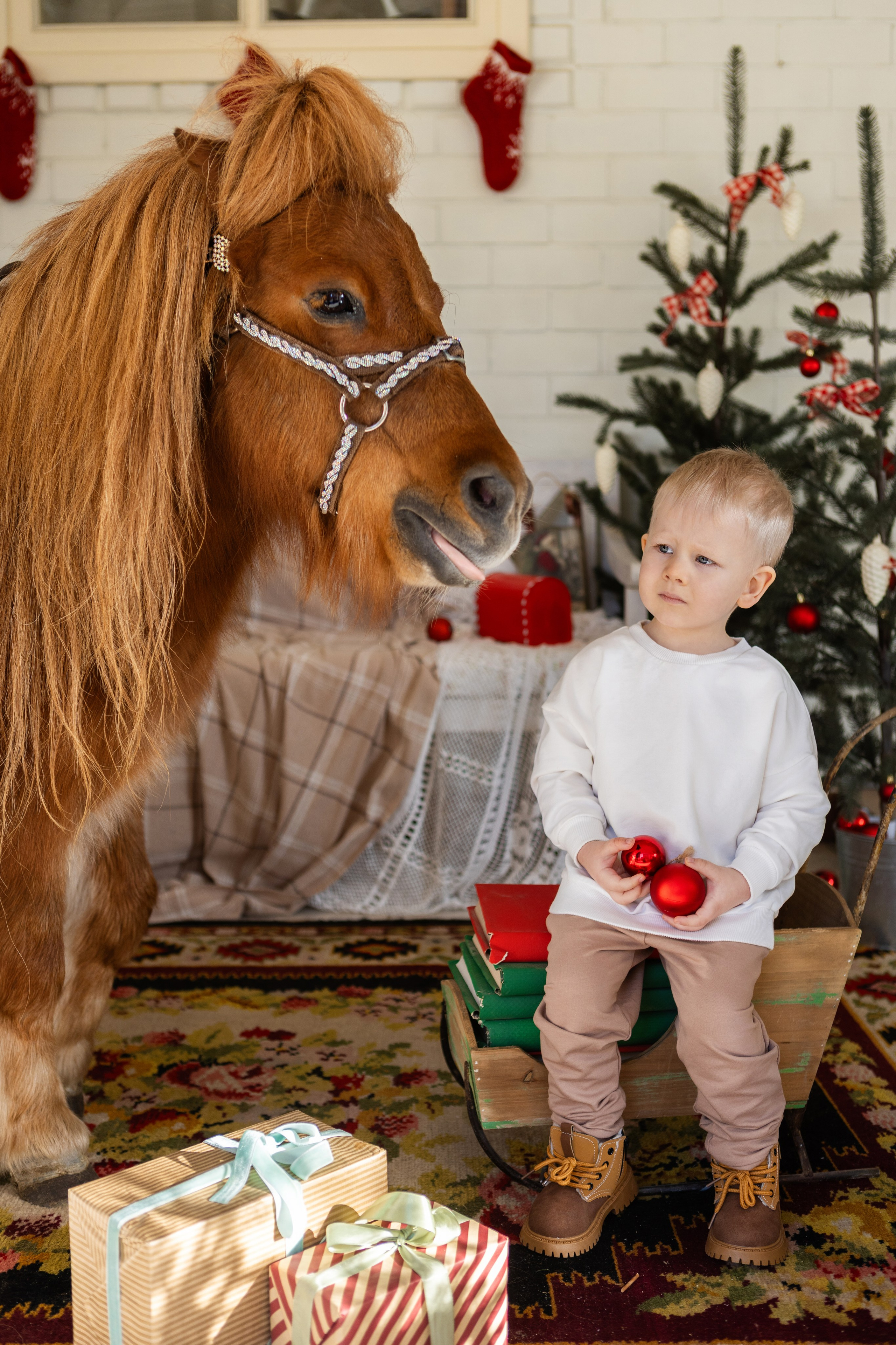 Символ 2026 года «Пони-Бонус». Фотостудия Ольги Сурухановой. Свадебный семейный и детский фотограф в Краснодаре Карина Федоровская
