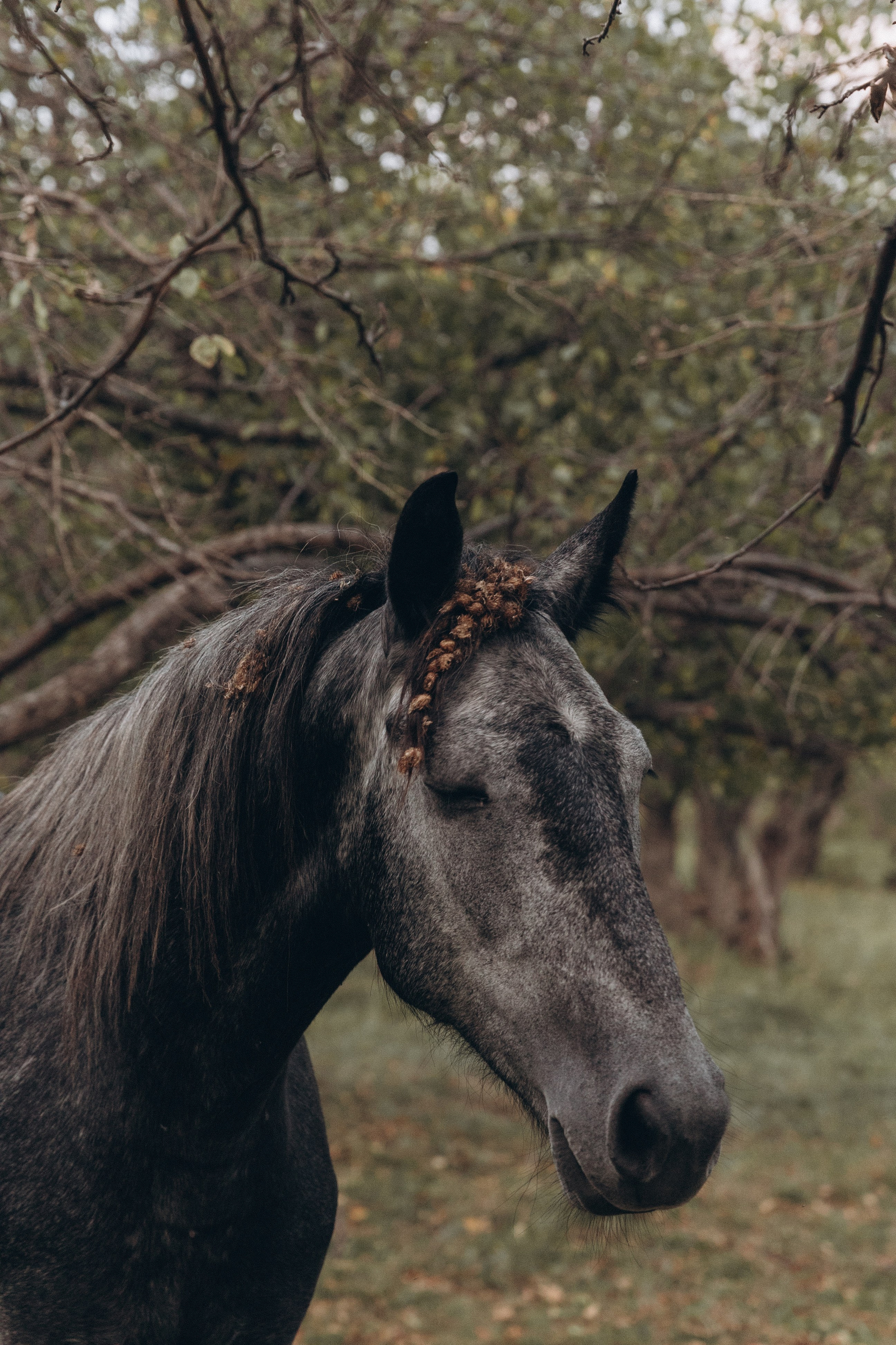 Пока трое. Свадебный и семейный фотограф в Магнитогорске Катя Буряк