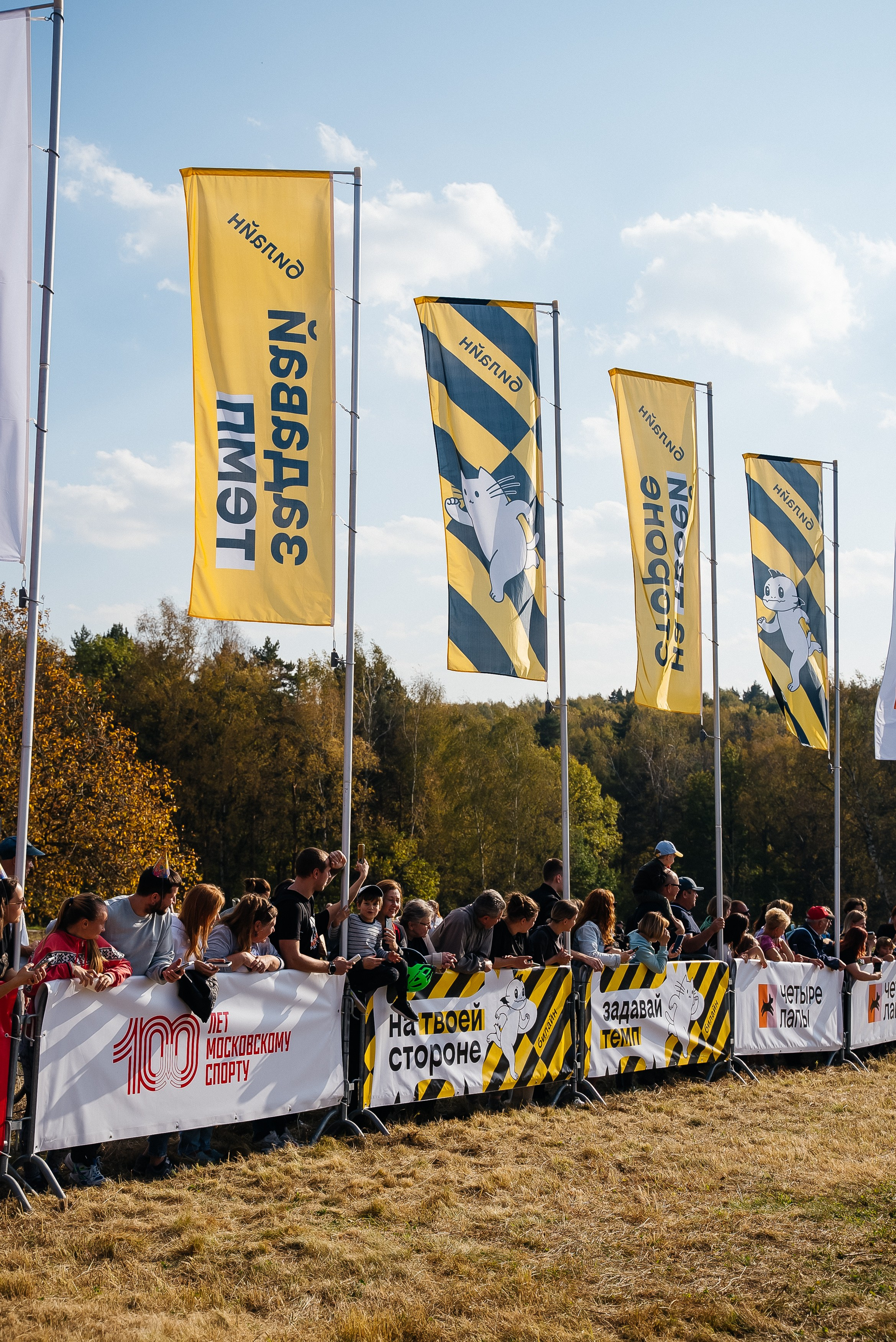 Билайн. Павел Краснов — Свадебный и репортажный фотограф в Москве