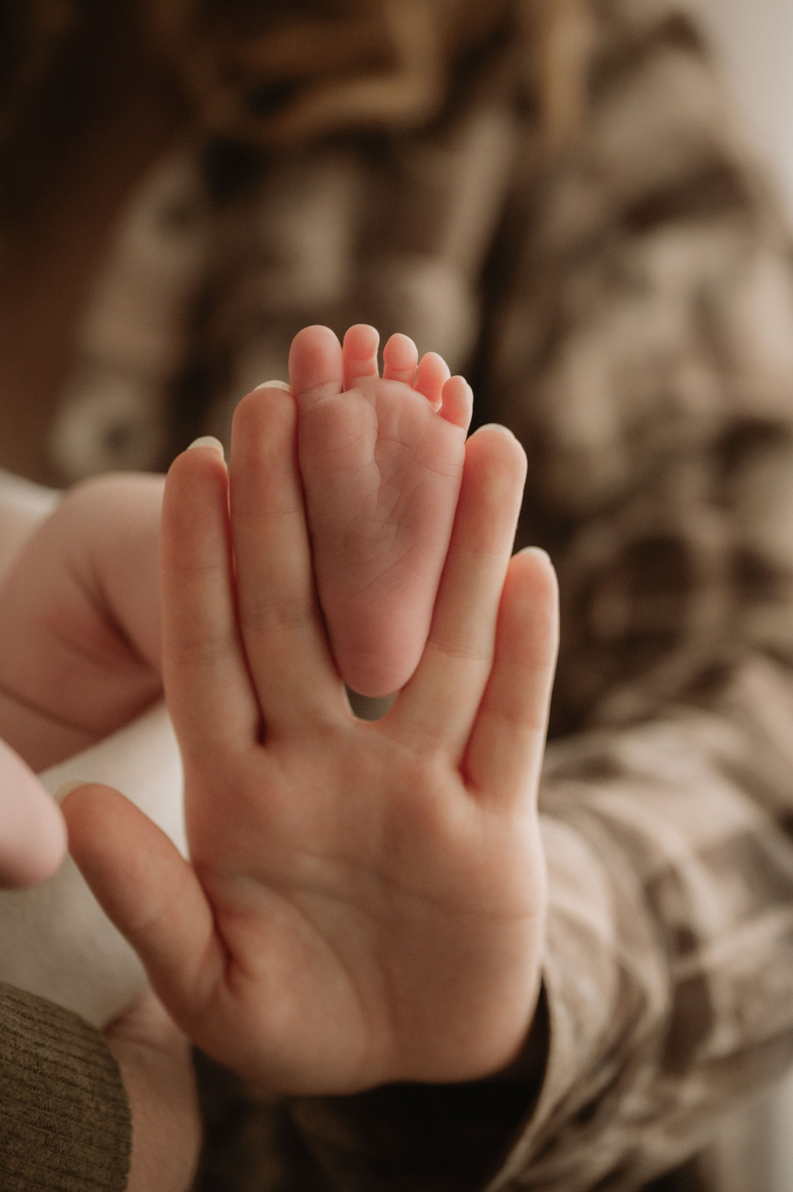 Лизавета, Никита и Мирослава. Фотограф беременности и семьи, домашние съемки, Ньюборн