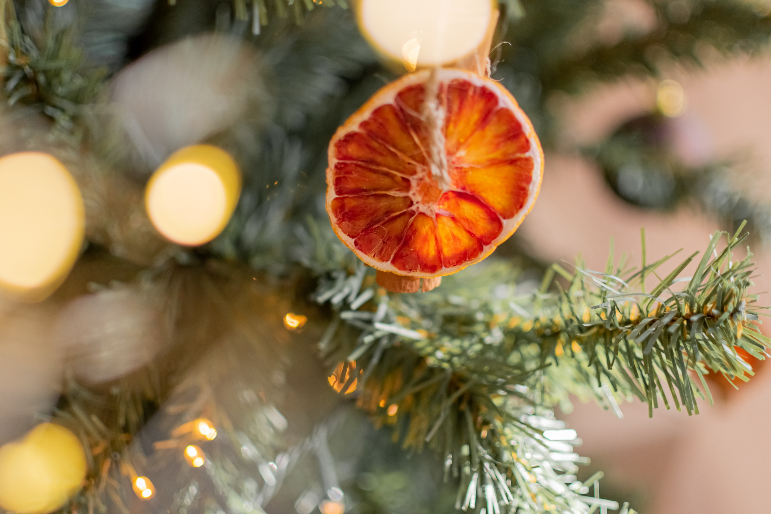 Новогодние фотосессии в студиях. Свадебный и семейный фотограф Екатерина Пушан. Москва, Балашиха, Железнодорожный, Солнечногорск