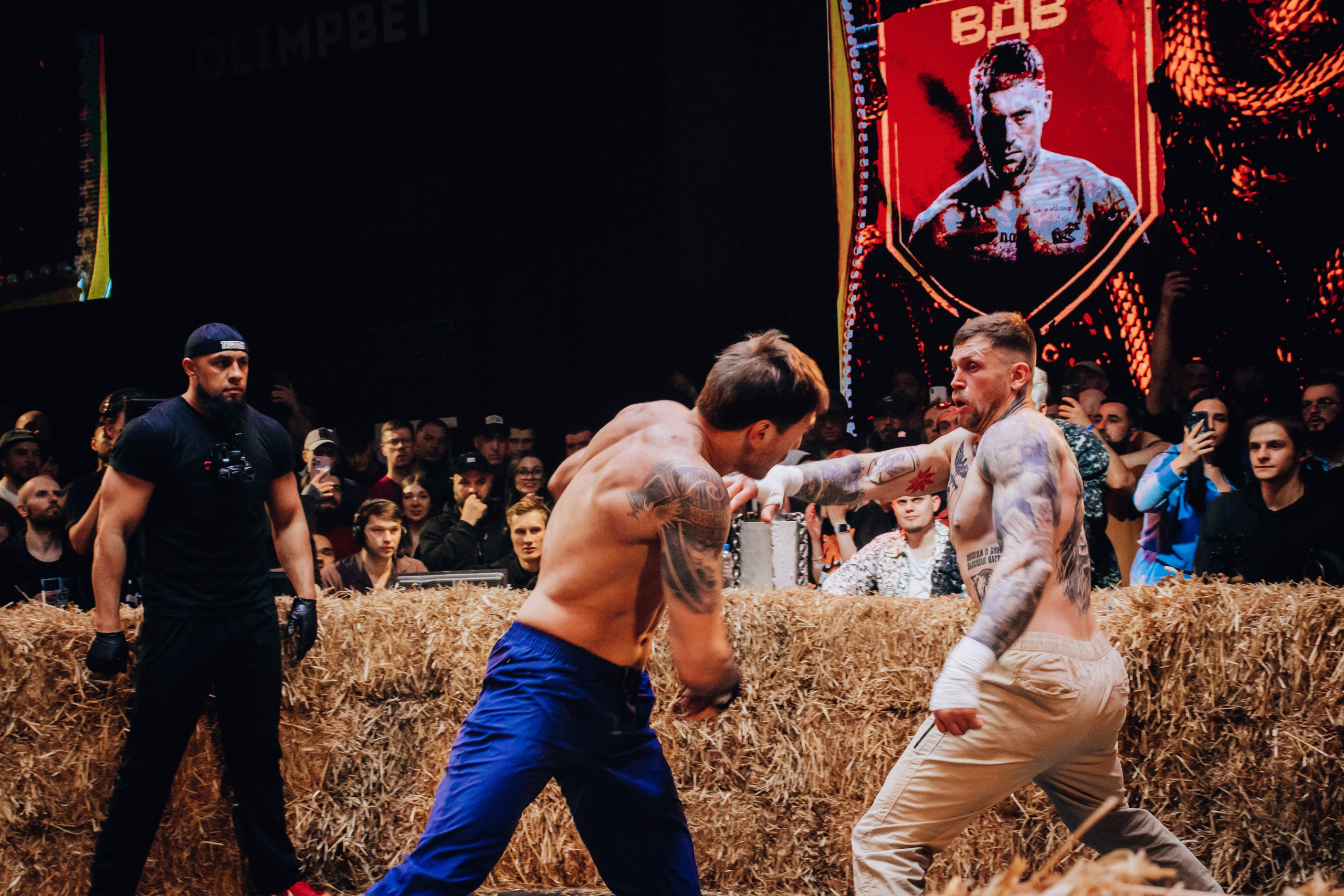 Кулачные бои TopDog. Анастасия Тен