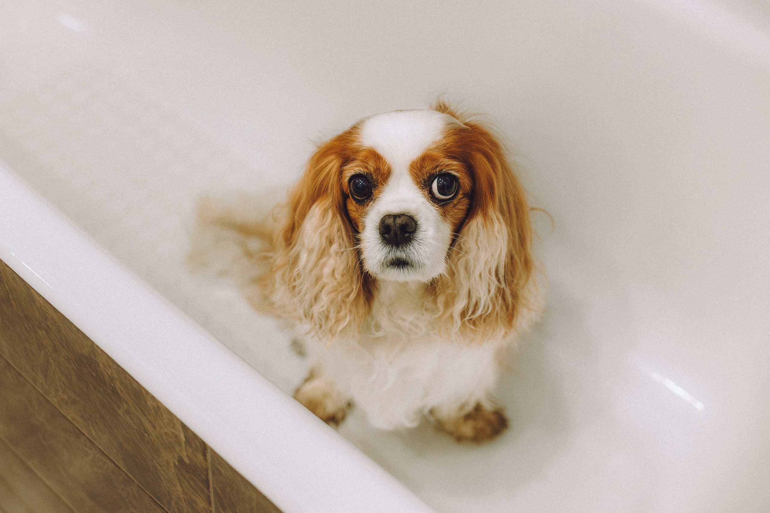 Наташа и Вики