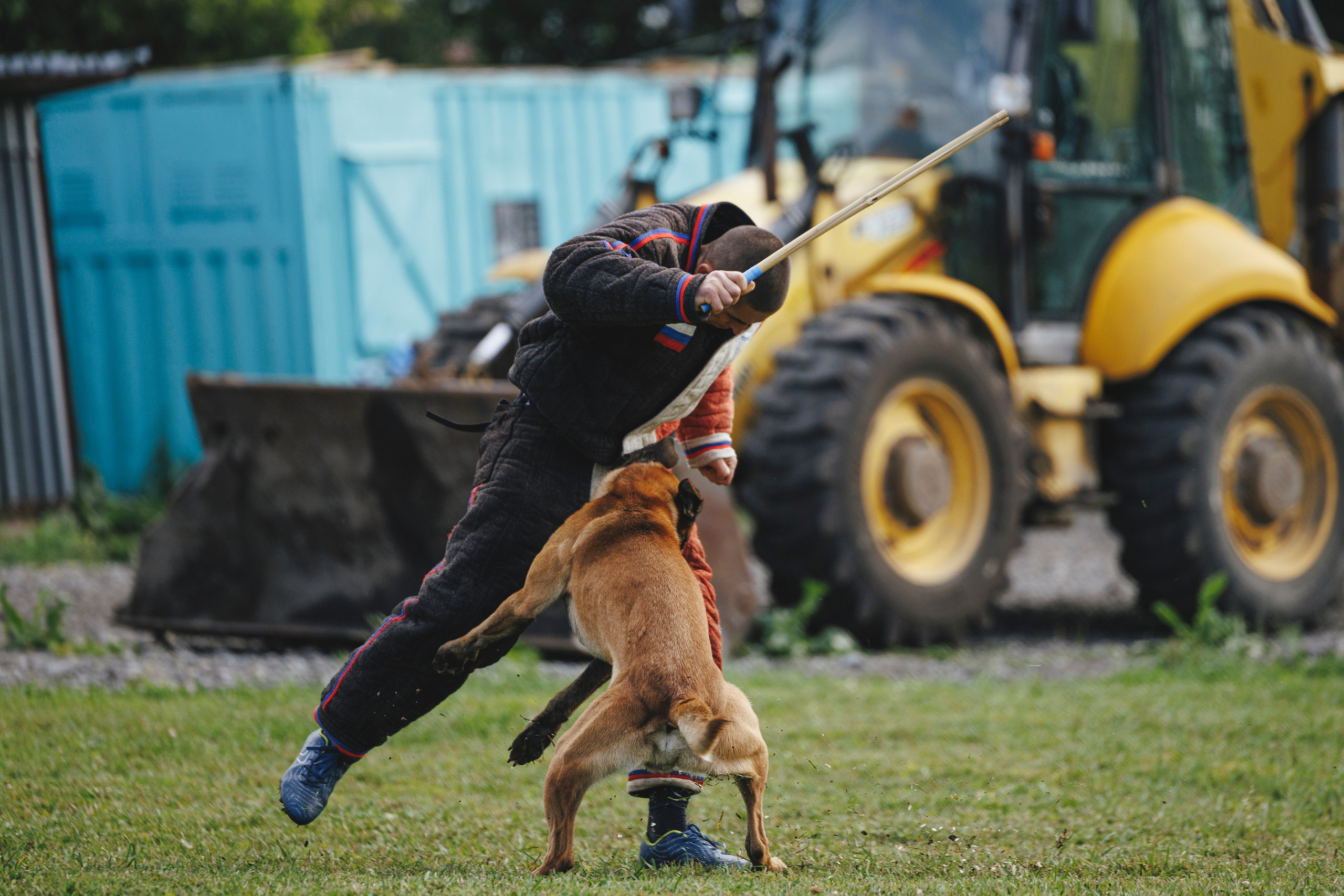 08.08.25-10.08.25 ЧР по мондьорингу г. Вологда. Фотограф-анималист Анна Маринич
