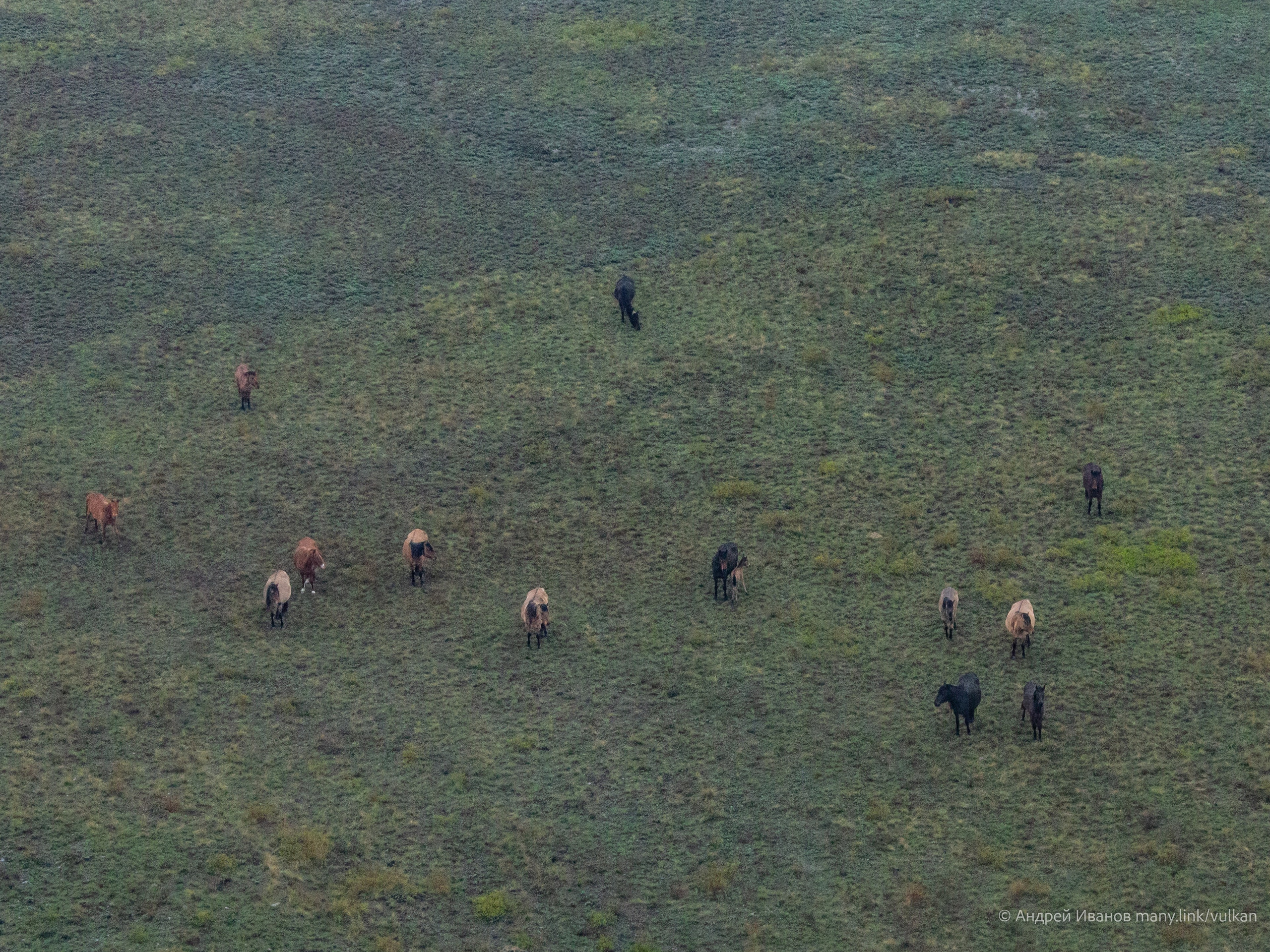 Перелёт на Байконур в 2026 г на самолётах АОН. Фотоальбом показывающий увлекательный мир авиации и мир медведей Андрея Иванова