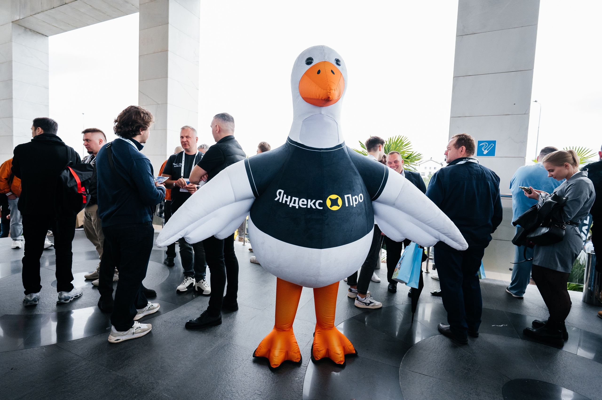 Яндекс TAXI 2025. Фотограф Илья Бызов, Свадебный и репортажный фотограф Сочи