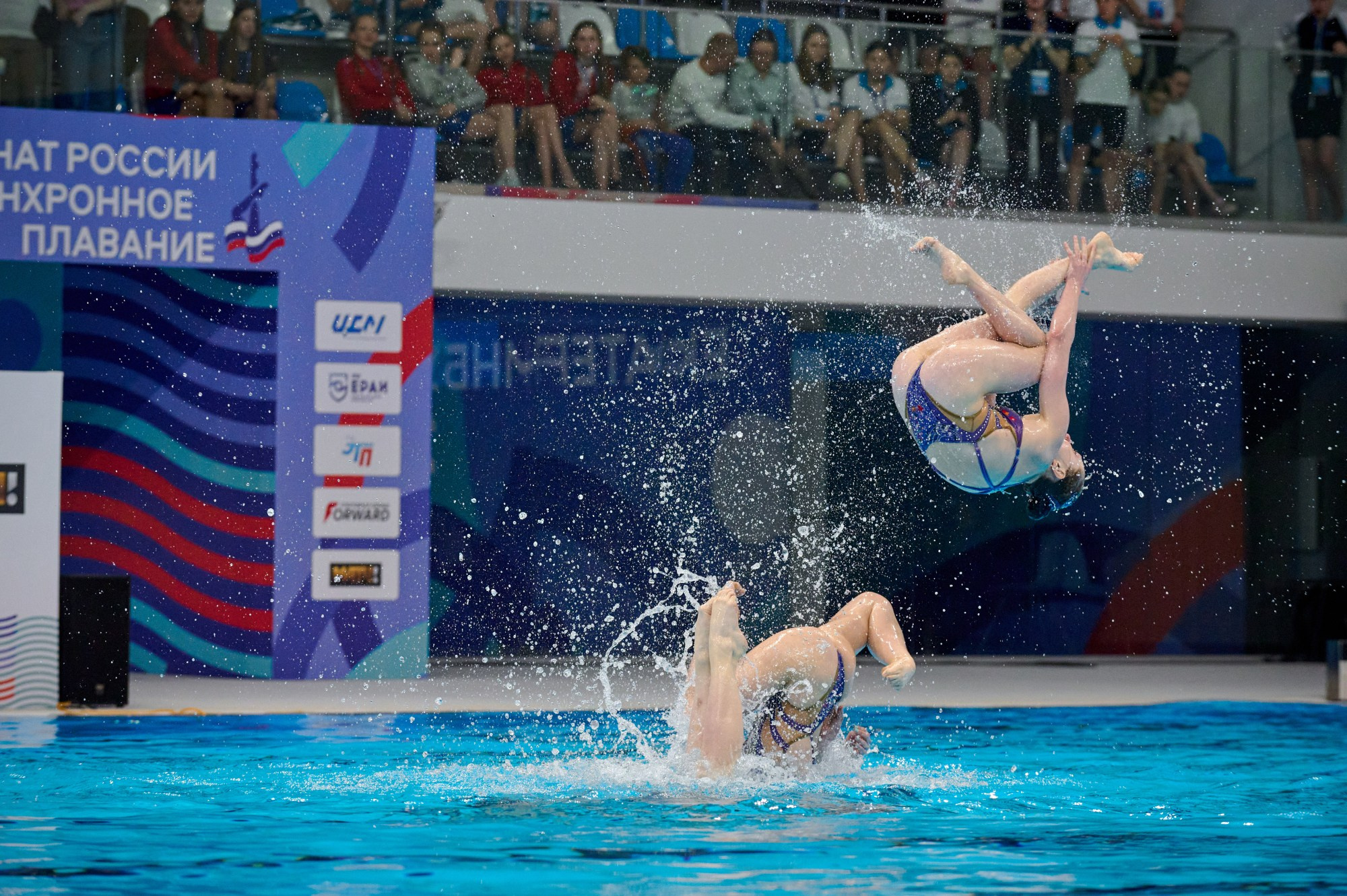 Чемпионат России Синхронное плавание 2024. Мезенцев Евгений фотограф