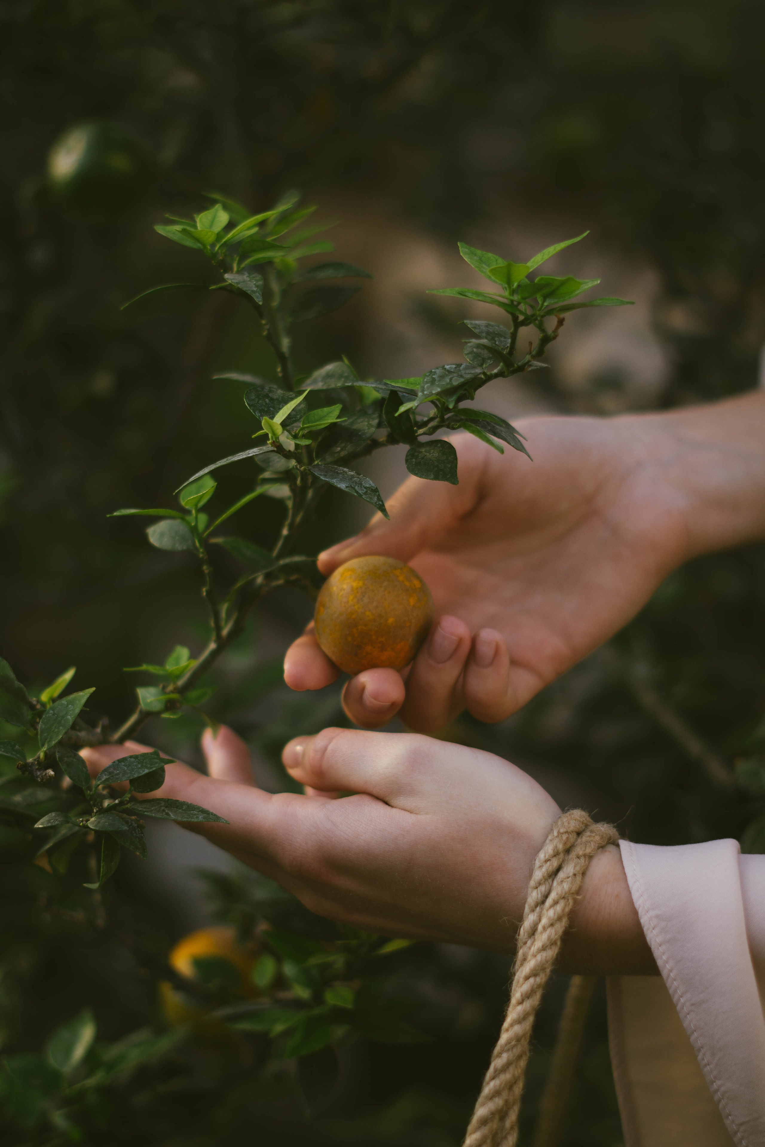 Съёмка в оранжерее. Фотограф в Липецке и Москве Рыкова Юлия