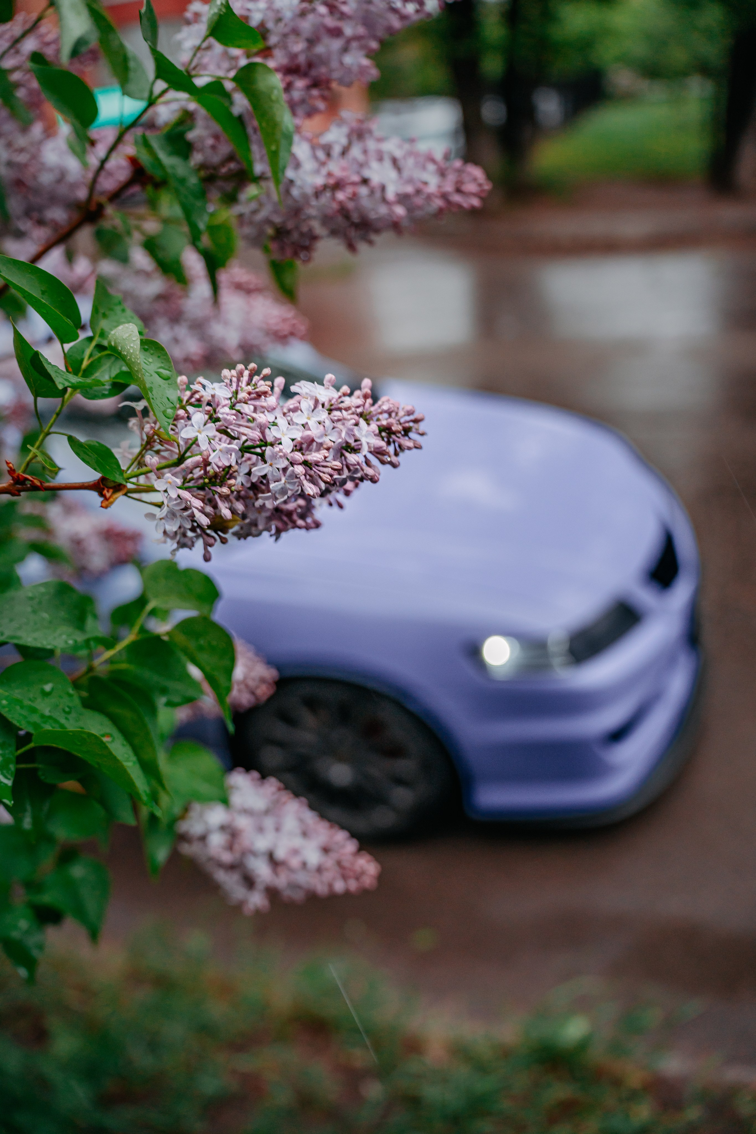 Honda Accord. Фотограф, видеограф и пилот дрона на Байкале