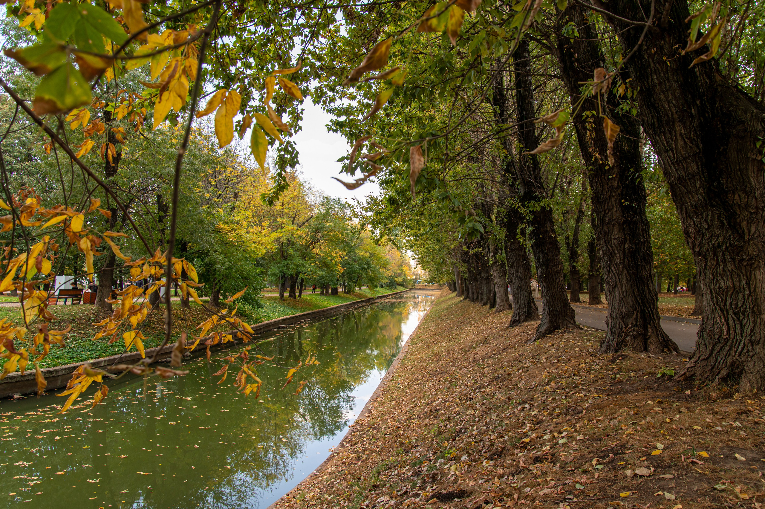 20230930 Красная Пресня. Дмитрий Ремизов. Фотография, как хобби