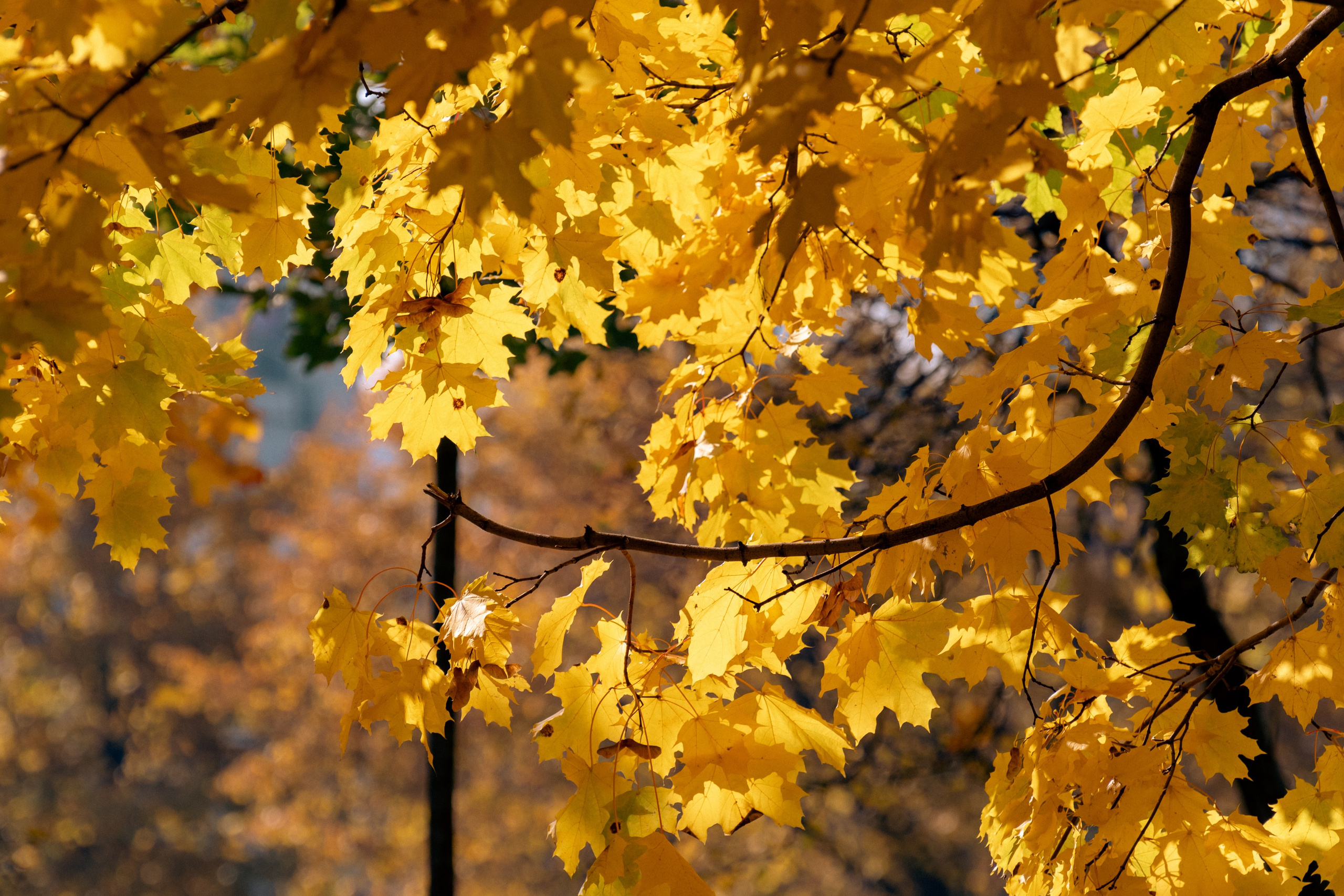20211003 Поклонка. Дмитрий Ремизов. Фотография, как хобби