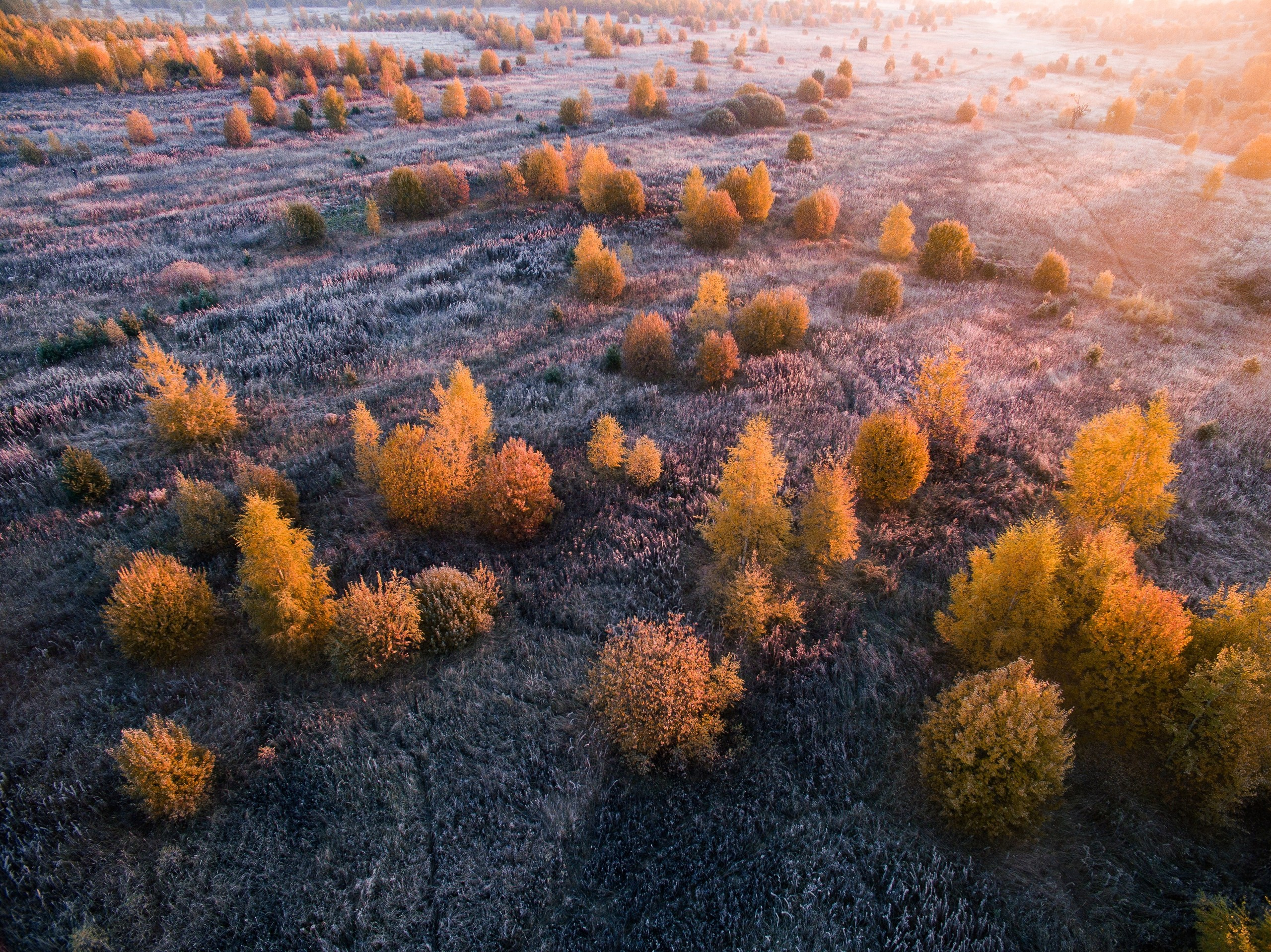 Средняя полоса России. Фотограф Владимир Медведев