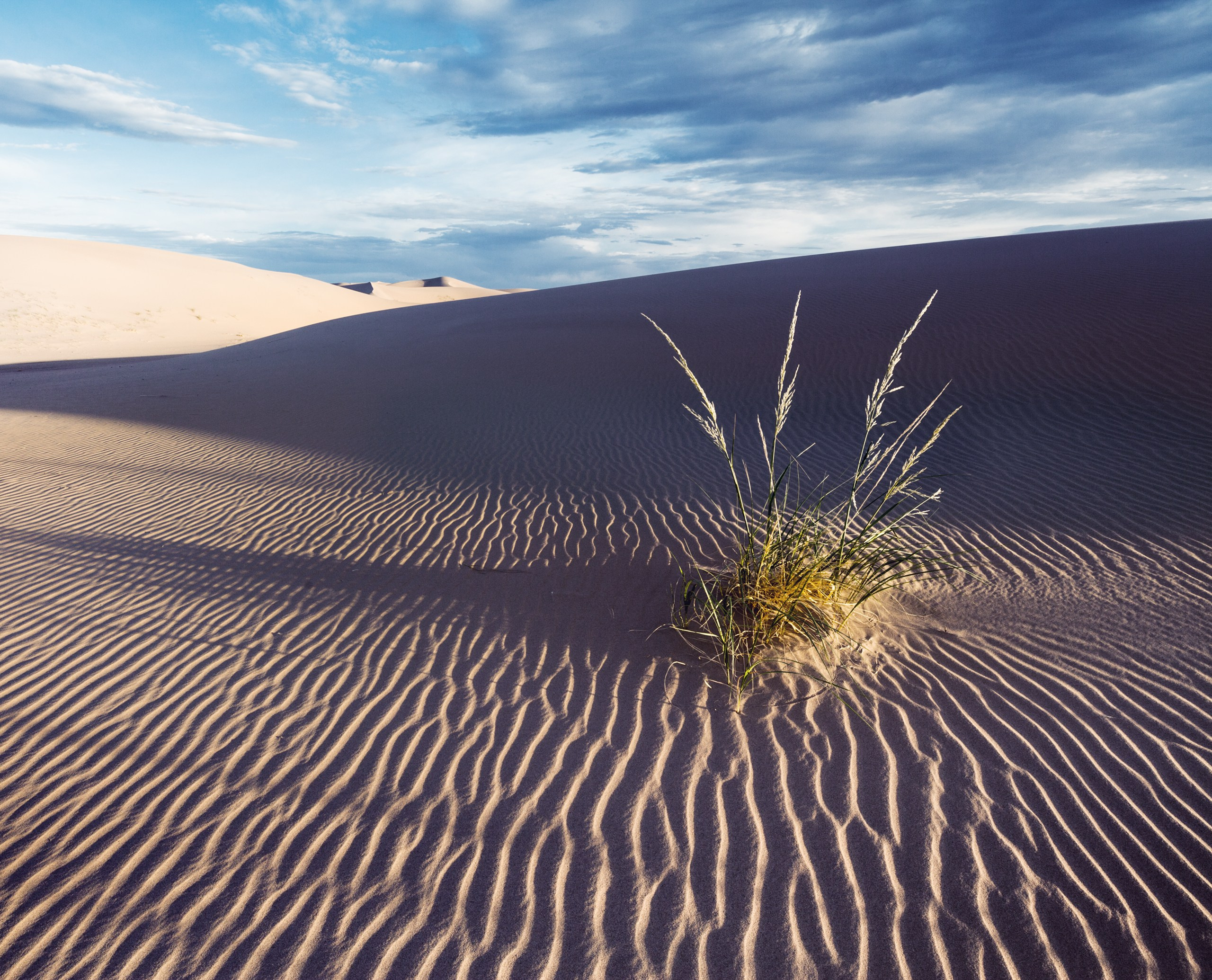 Монголия. Фотограф Владимир Медведев