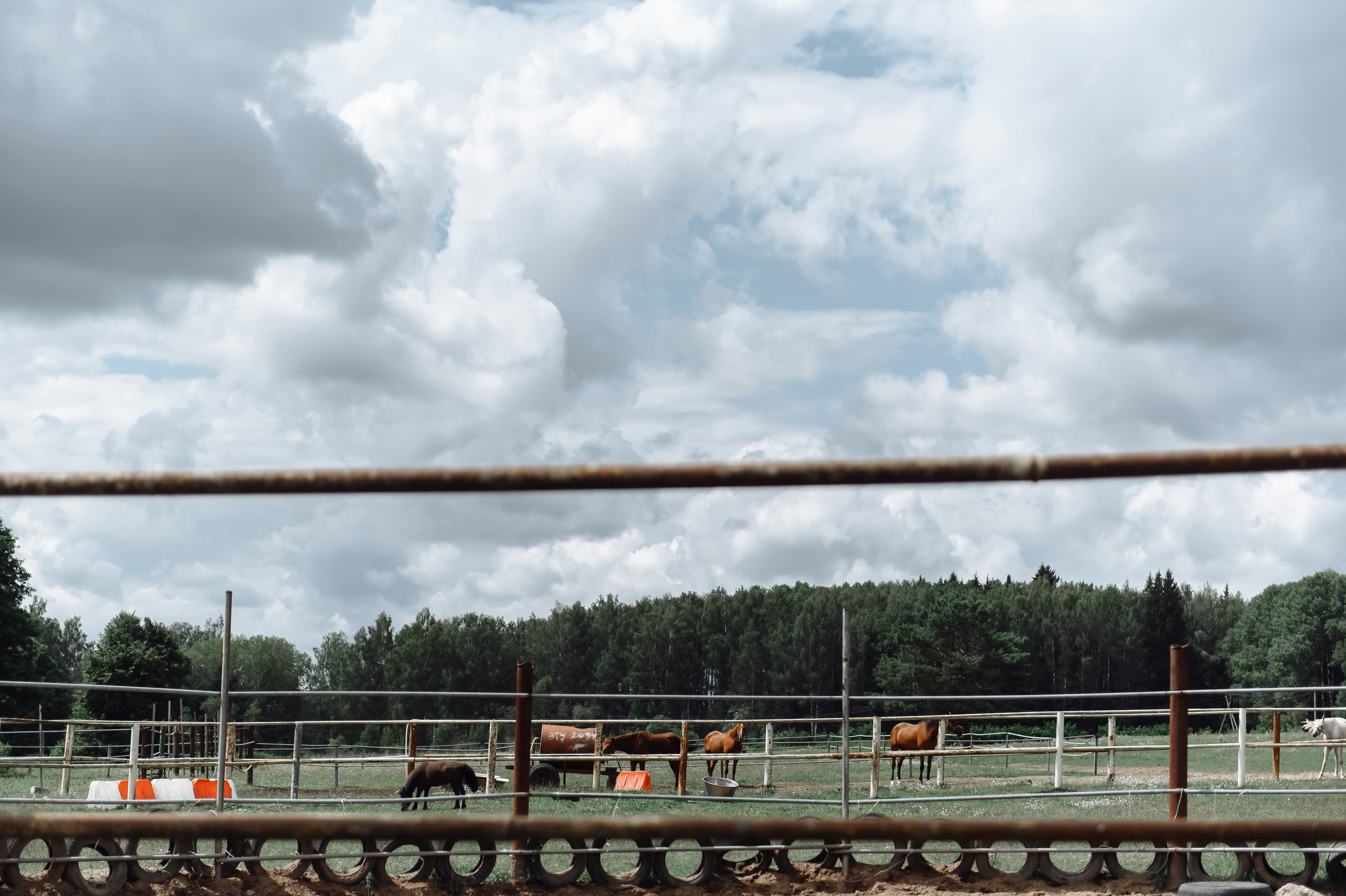 Аня | Дима. Свадебный фотограф в Москве Владимир Симонов