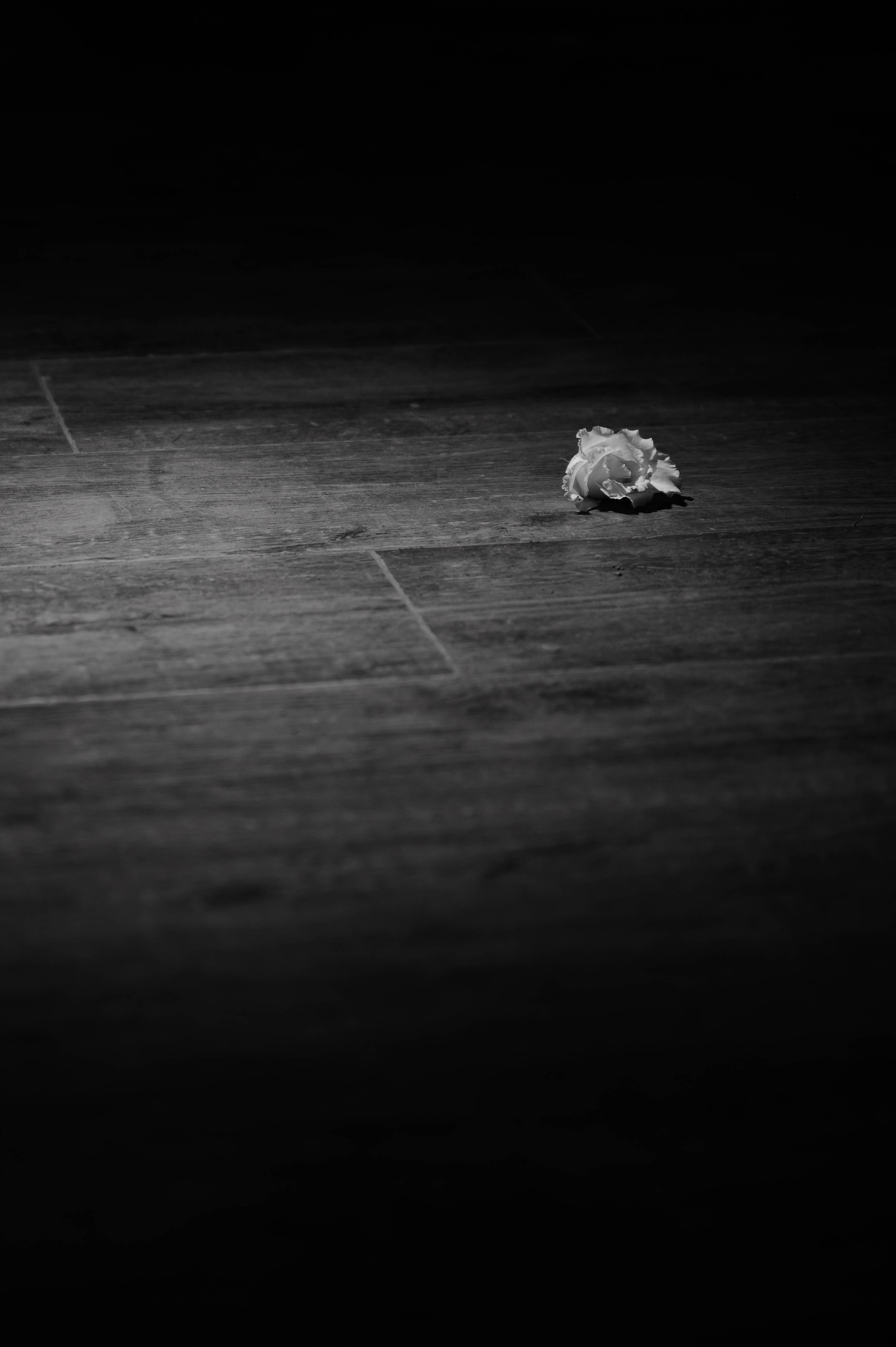 Яна | Стас. Свадебный фотограф в Москве Владимир Симонов