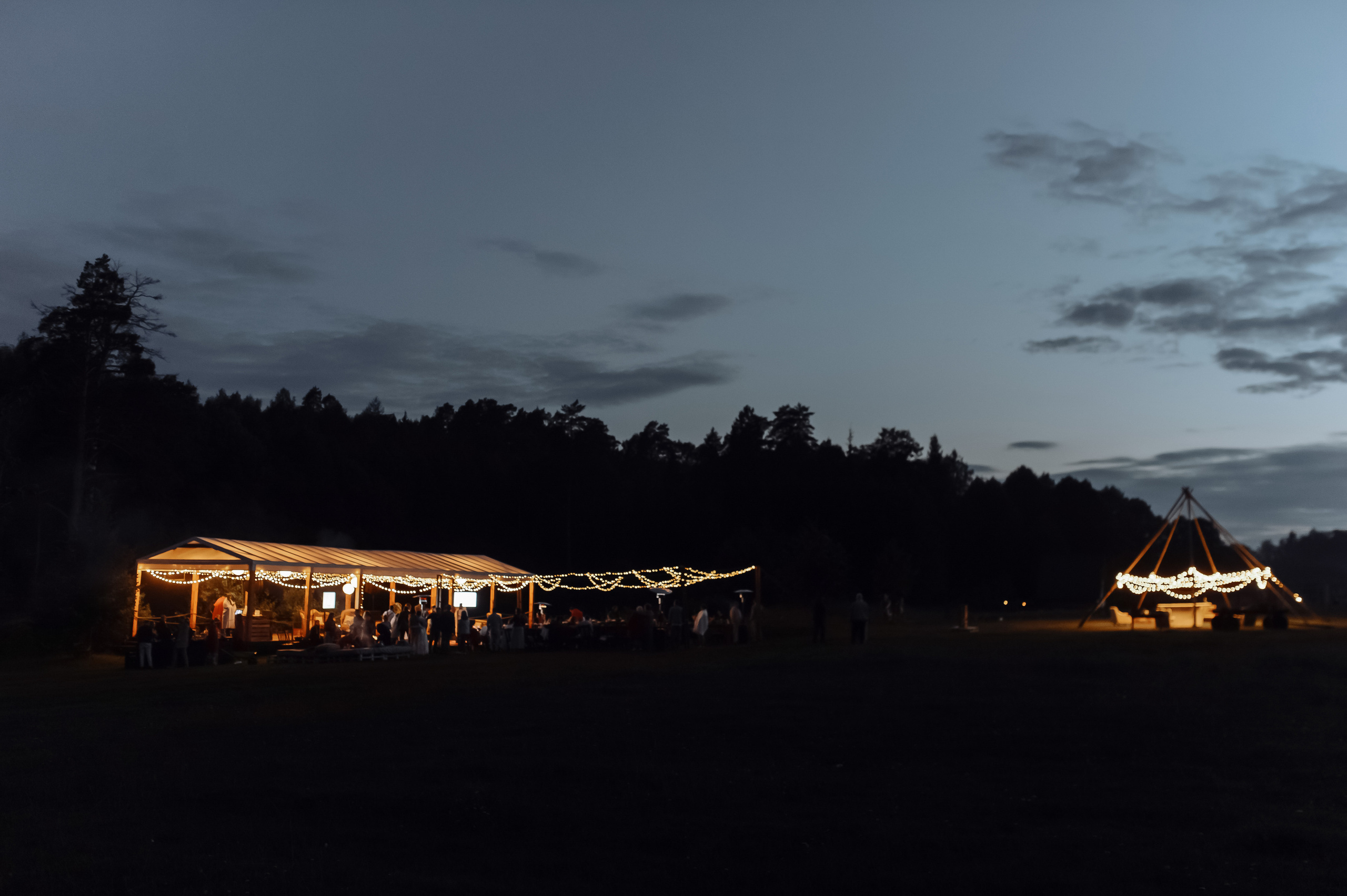 Аня | Дима. Свадебный фотограф в Москве Владимир Симонов