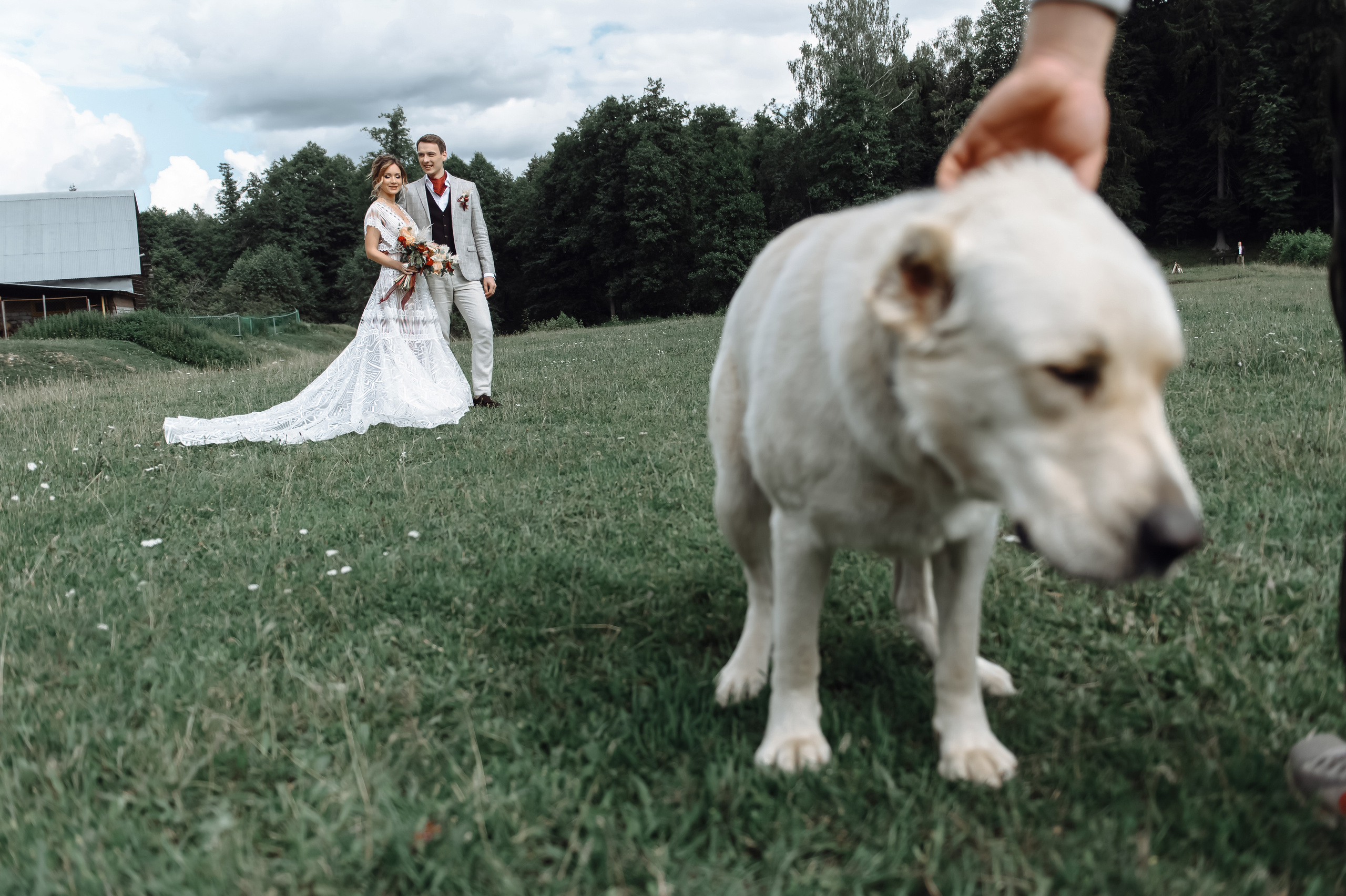 Аня | Дима. Свадебный фотограф в Москве Владимир Симонов