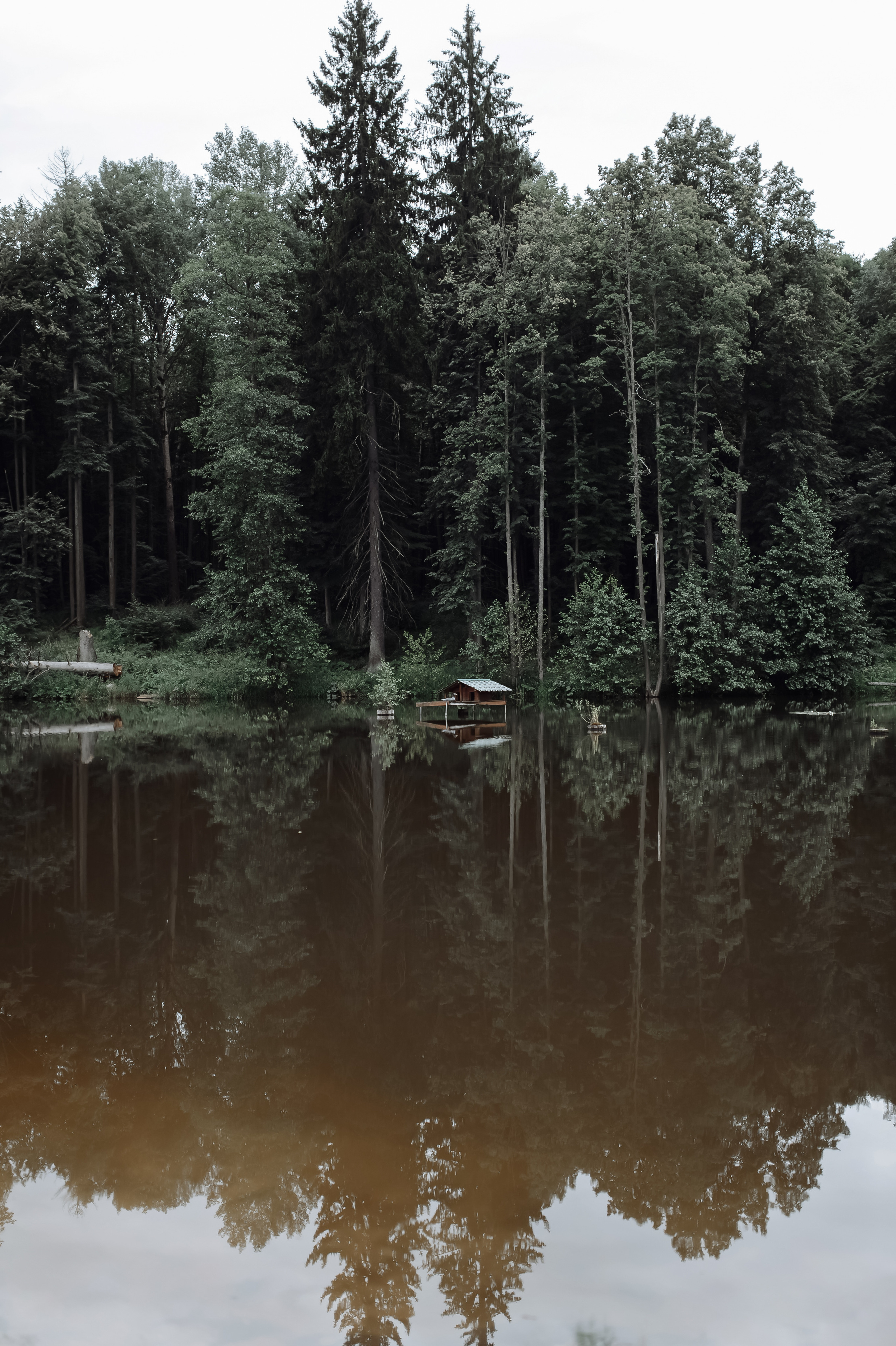 Аня | Дима. Свадебный фотограф в Москве Владимир Симонов