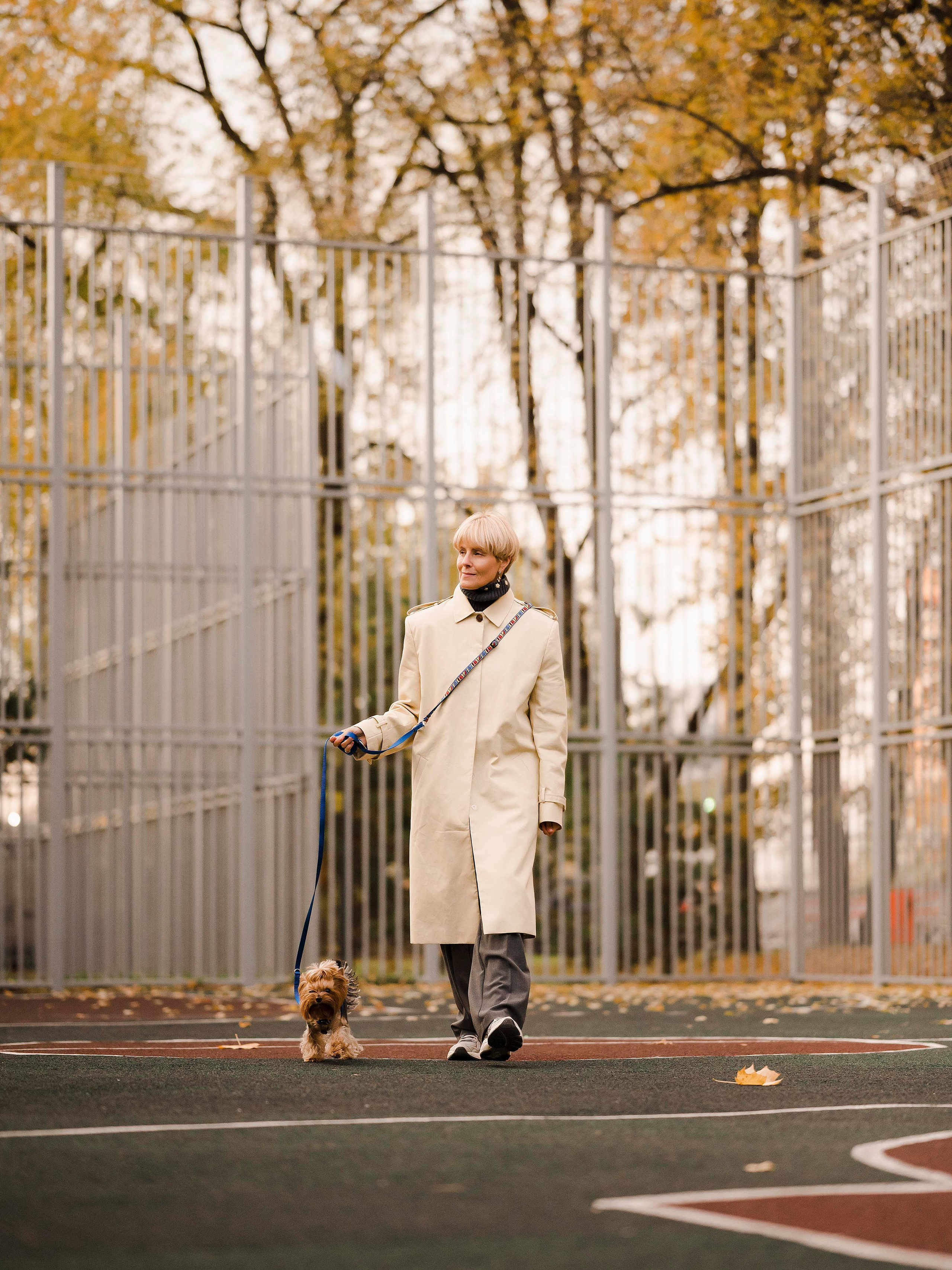 Шарик дог. Фотограф- анималист Александра Матвеева