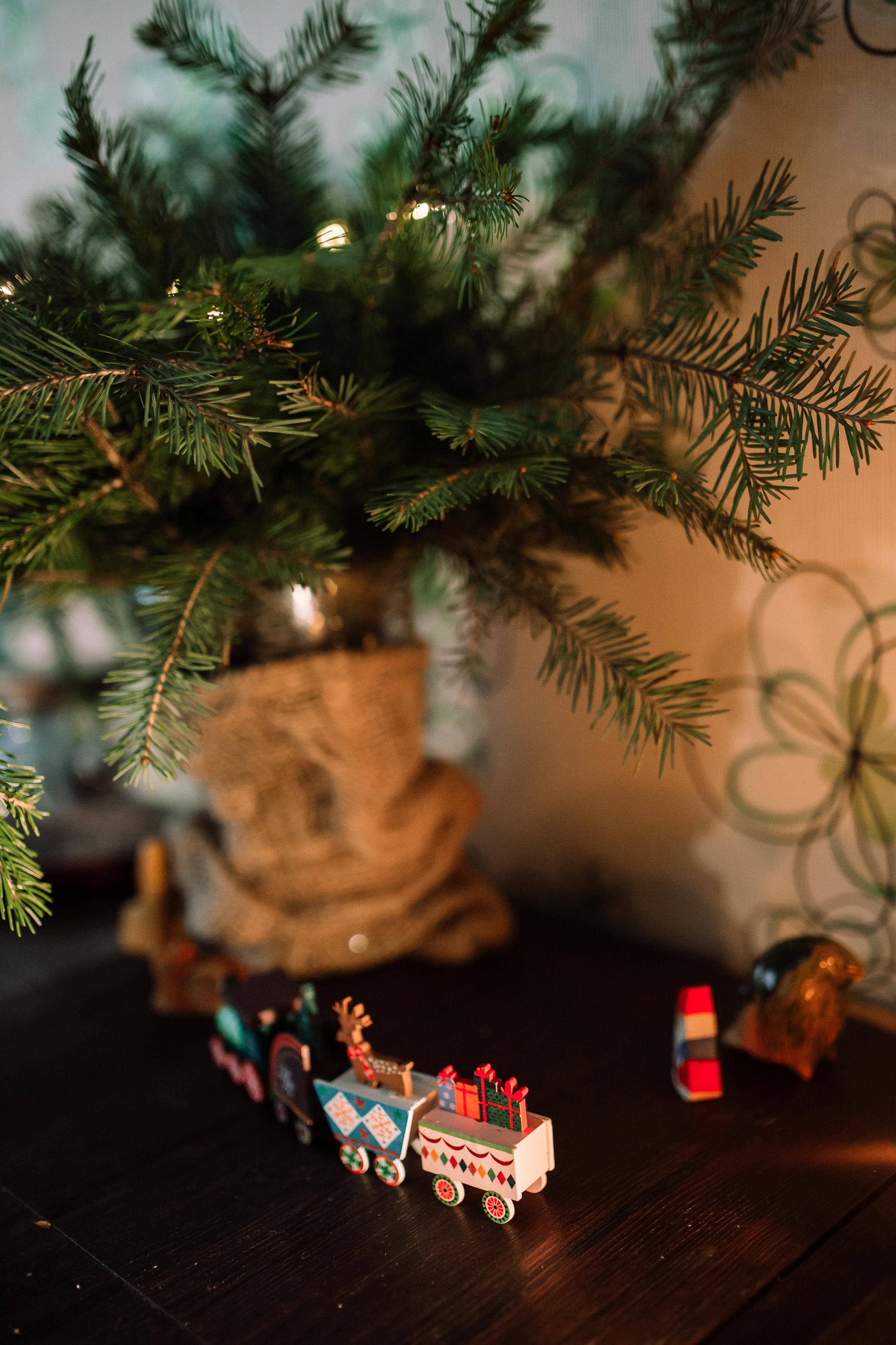 Руслан, Софья, Алиса, Марк, Агата и Аврора. Семейный фотограф Трусова Евгения в Екатеринбурге