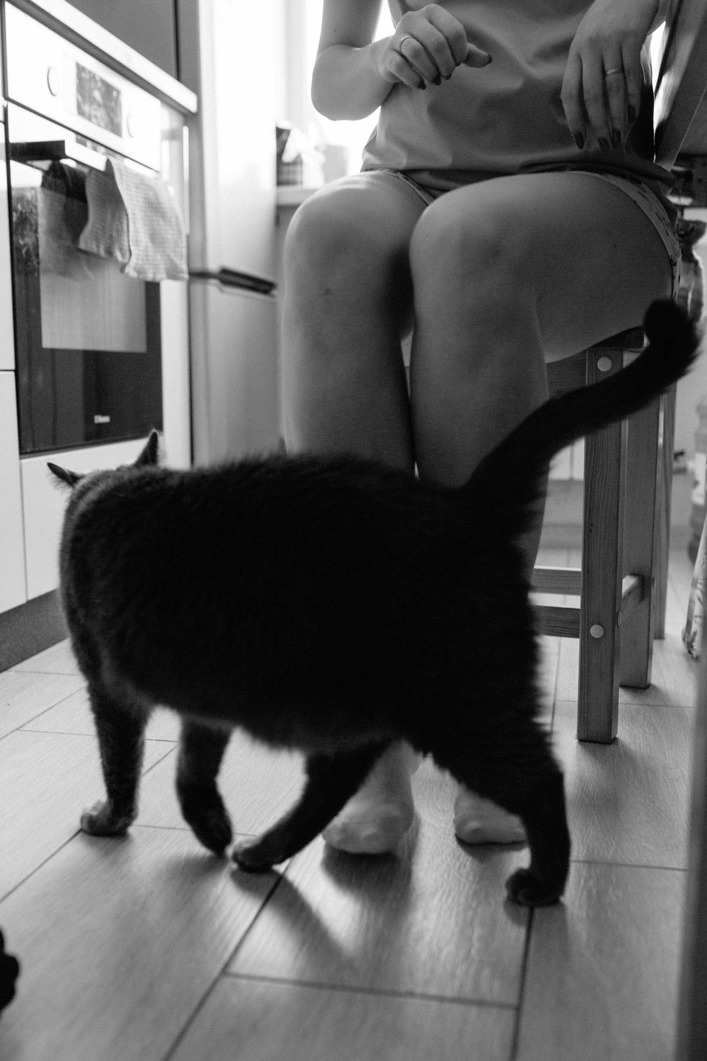 Максим, Ирина и Ева. Семейный фотограф Трусова Евгения в Екатеринбурге