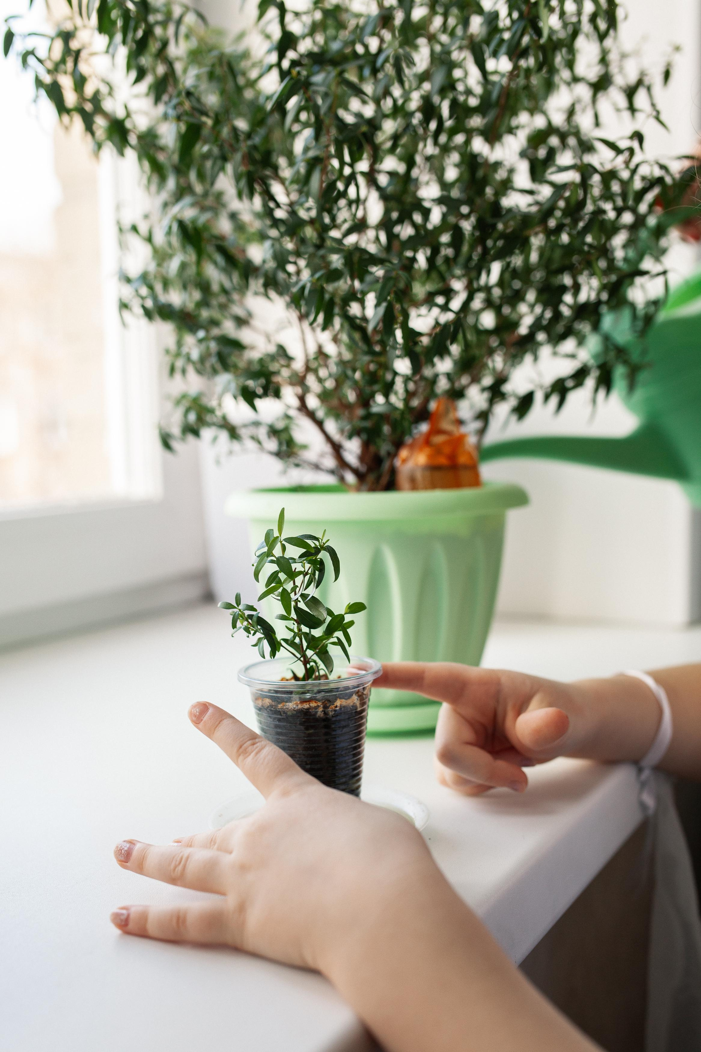 Максим, Ирина и Ева. Семейный фотограф Трусова Евгения в Екатеринбурге