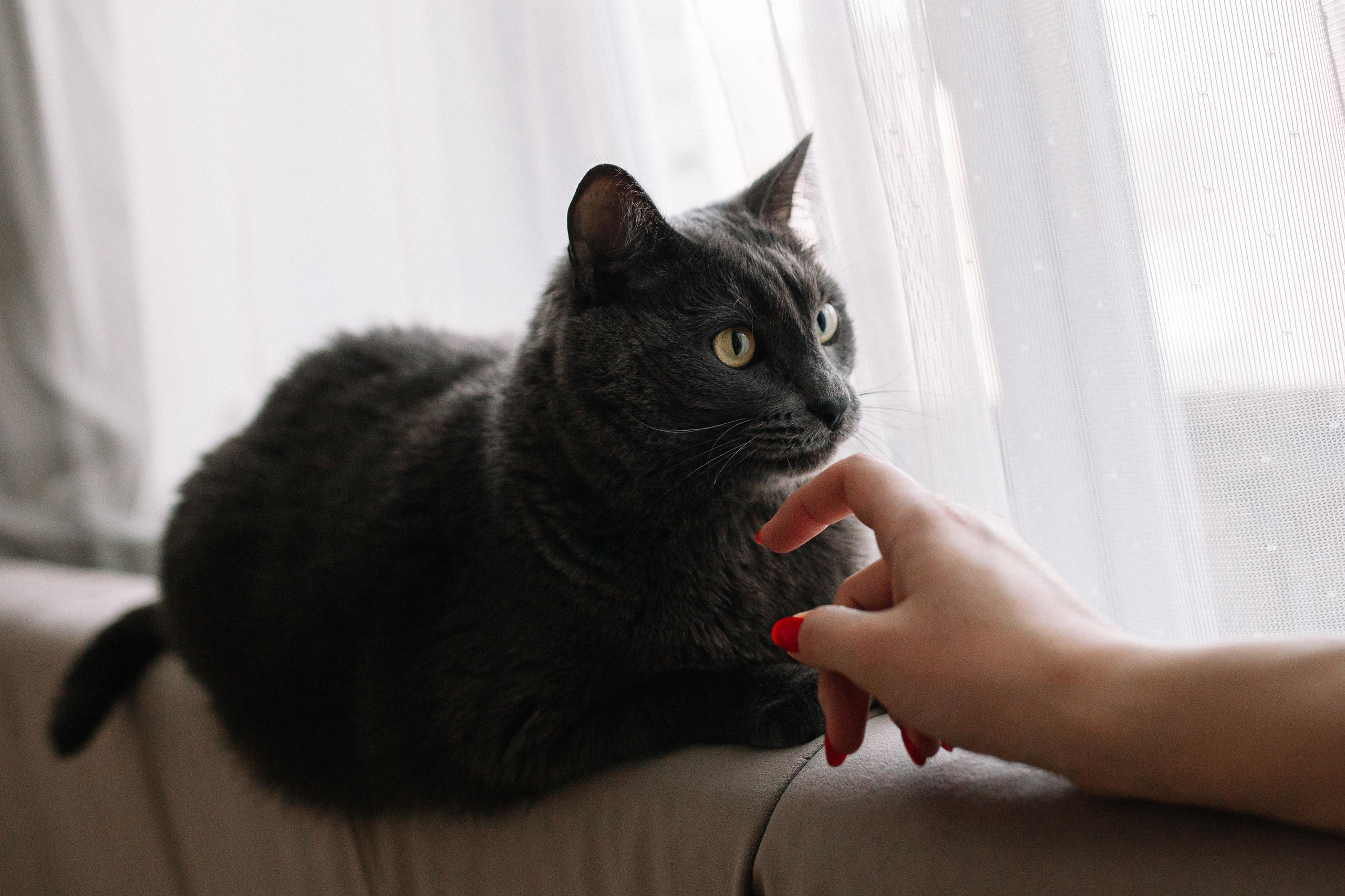 Максим, Ирина и Ева. Семейный фотограф Трусова Евгения в Екатеринбурге