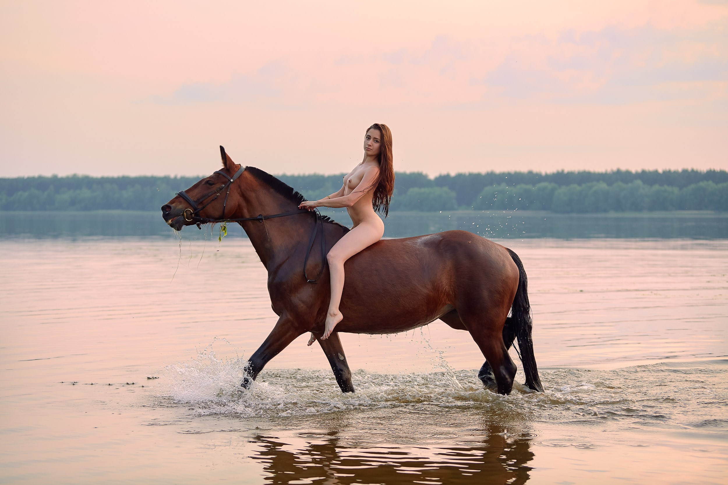 Фотосессия с лошадьми, Фотограф Михаил Семенов г. Ярославль