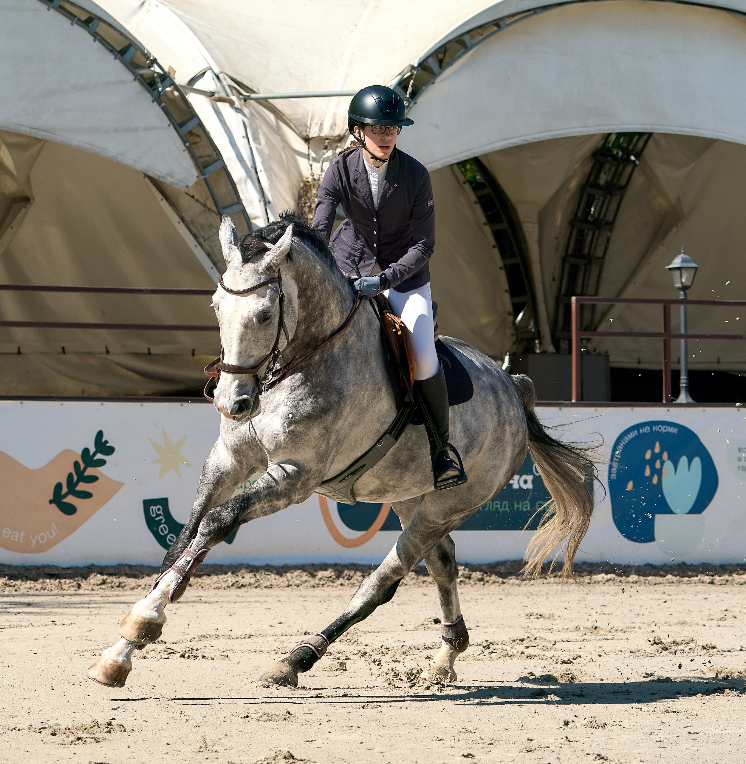 Соревнования на лошадях — галерея NATRIEL