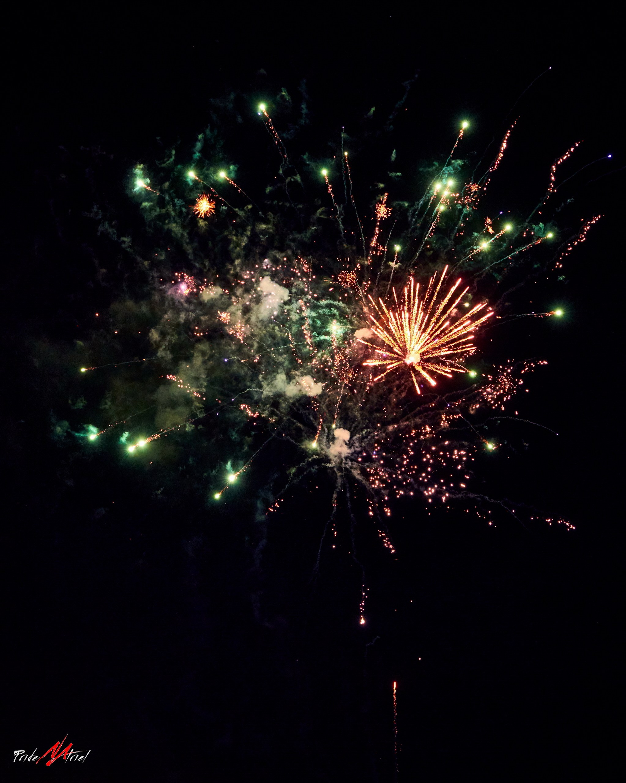 Огонь, Ветер, Вода, Земля — галерея NATRIEL