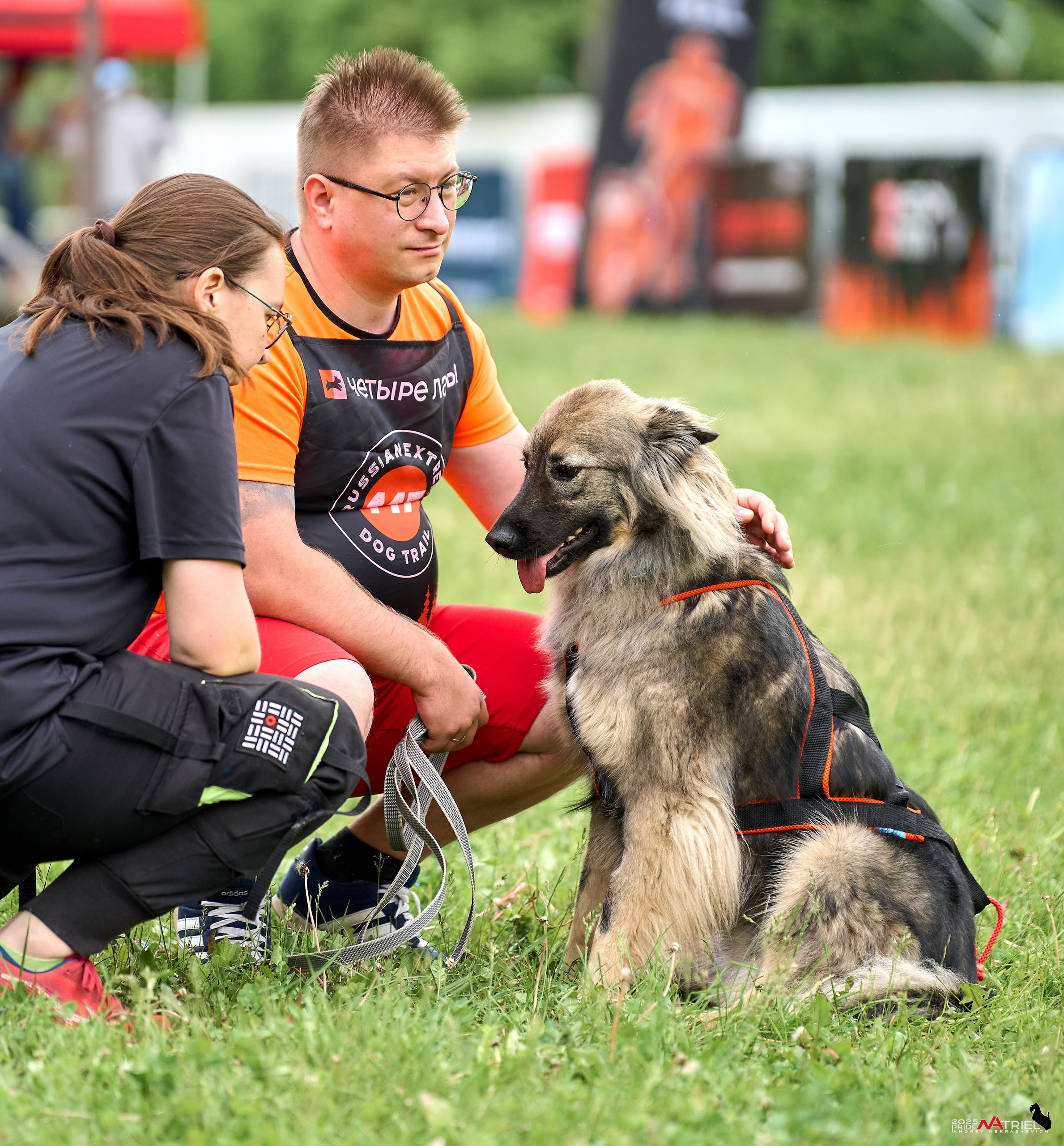 Russian Extreme Dog Trail — 2025
