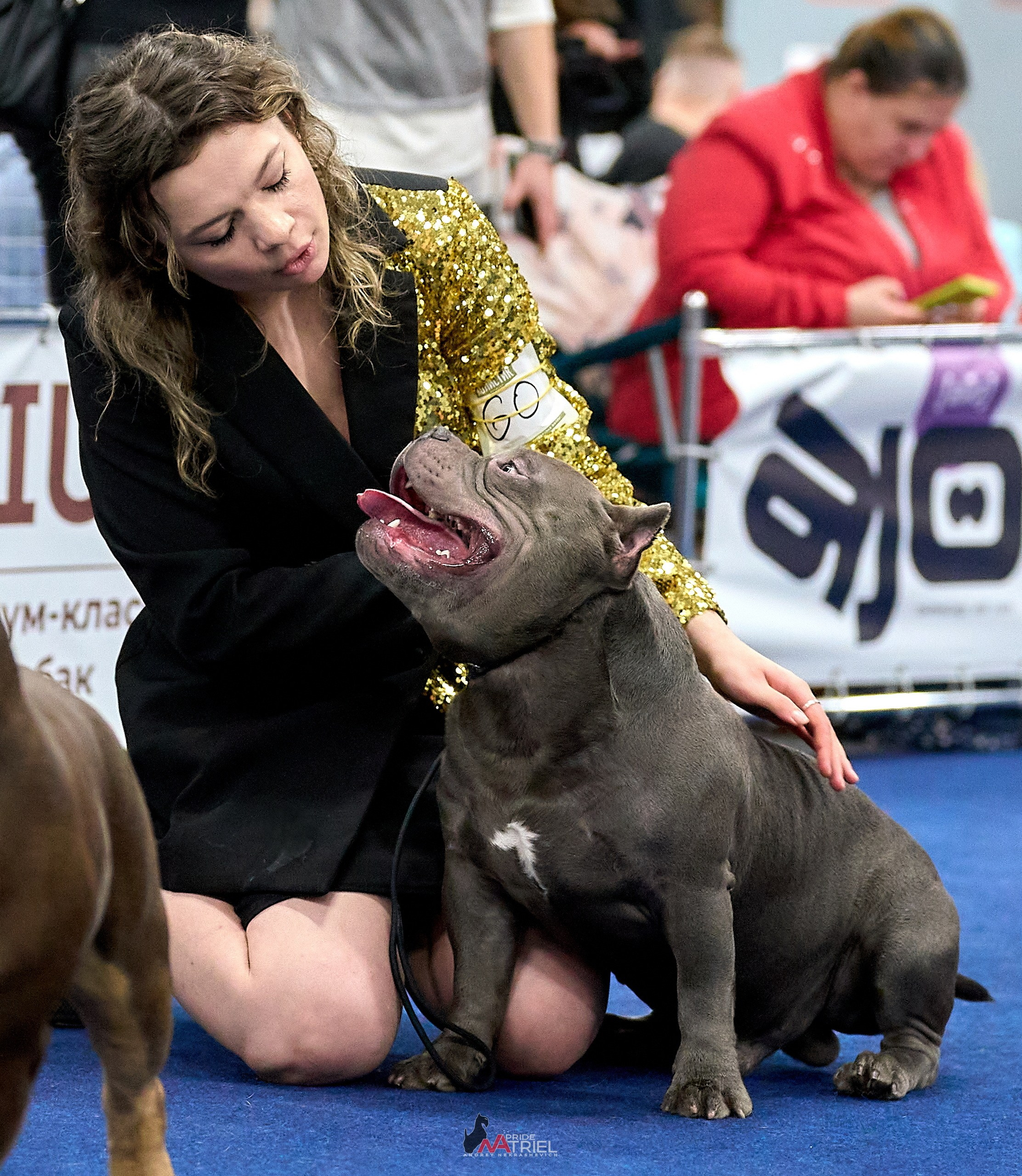 Работа в рингах — галерея NATRIEL