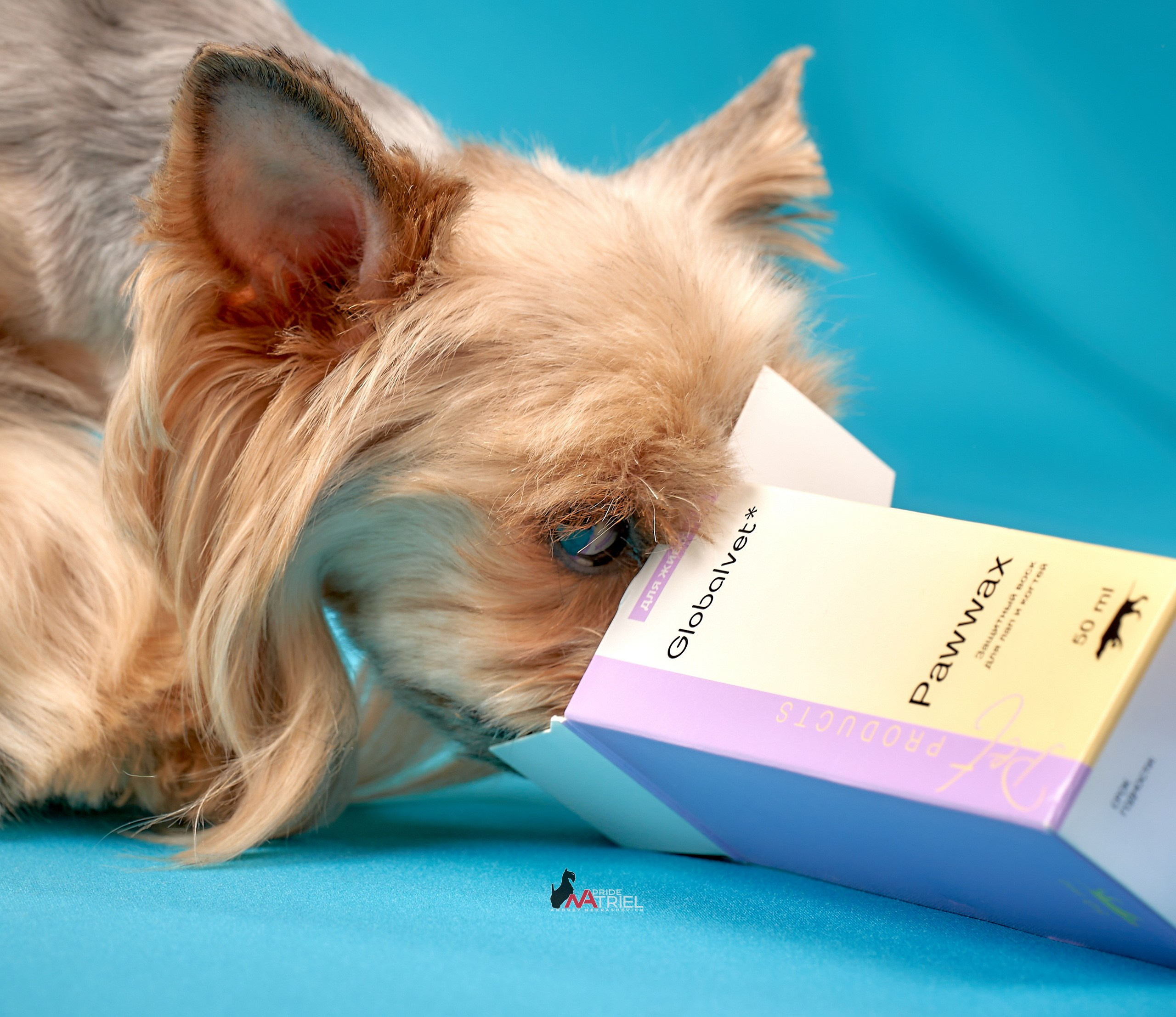 Реклама с животными — галерея NATRIEL