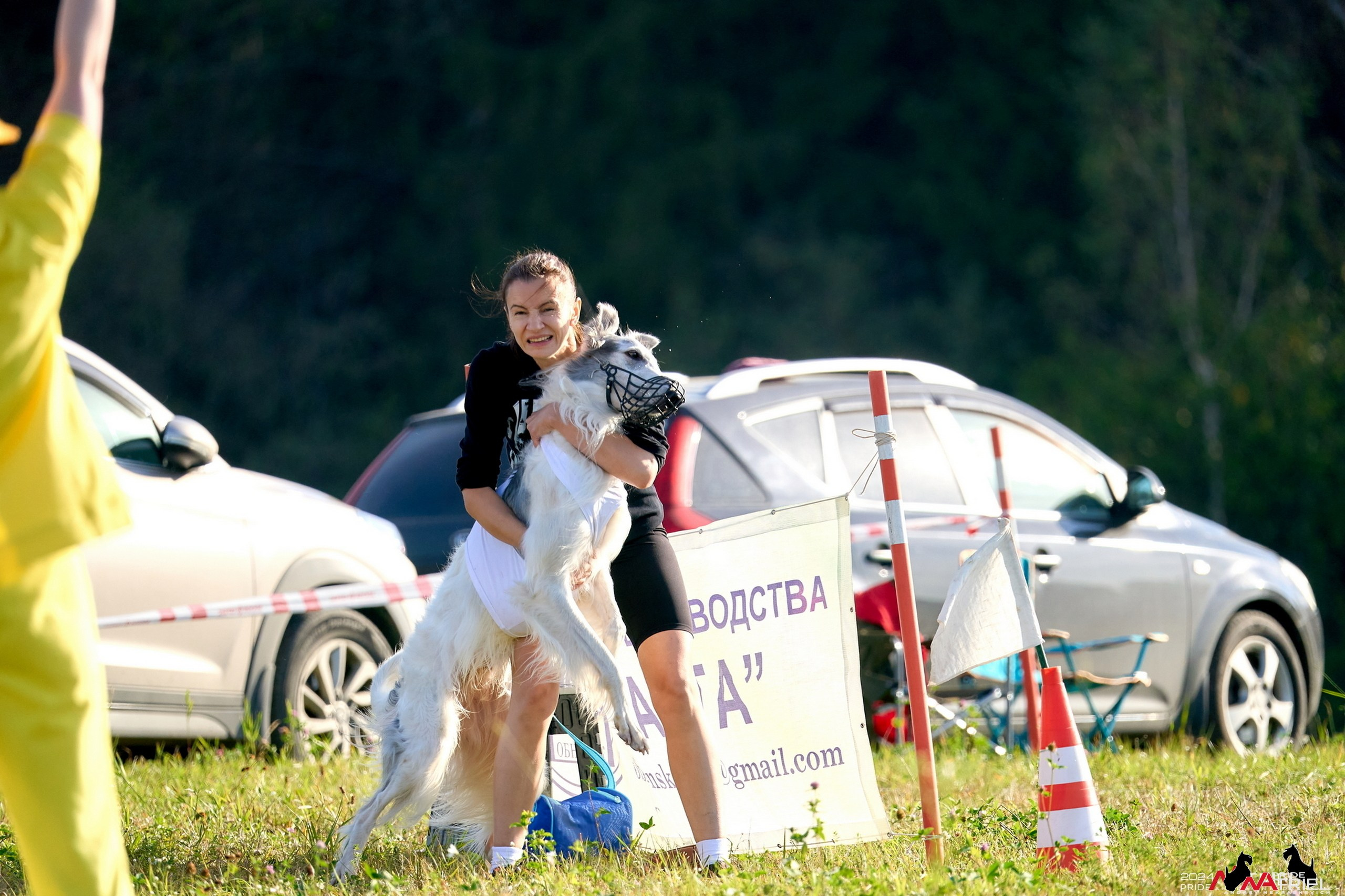 Съемка курсинг — галерея NATRIEL