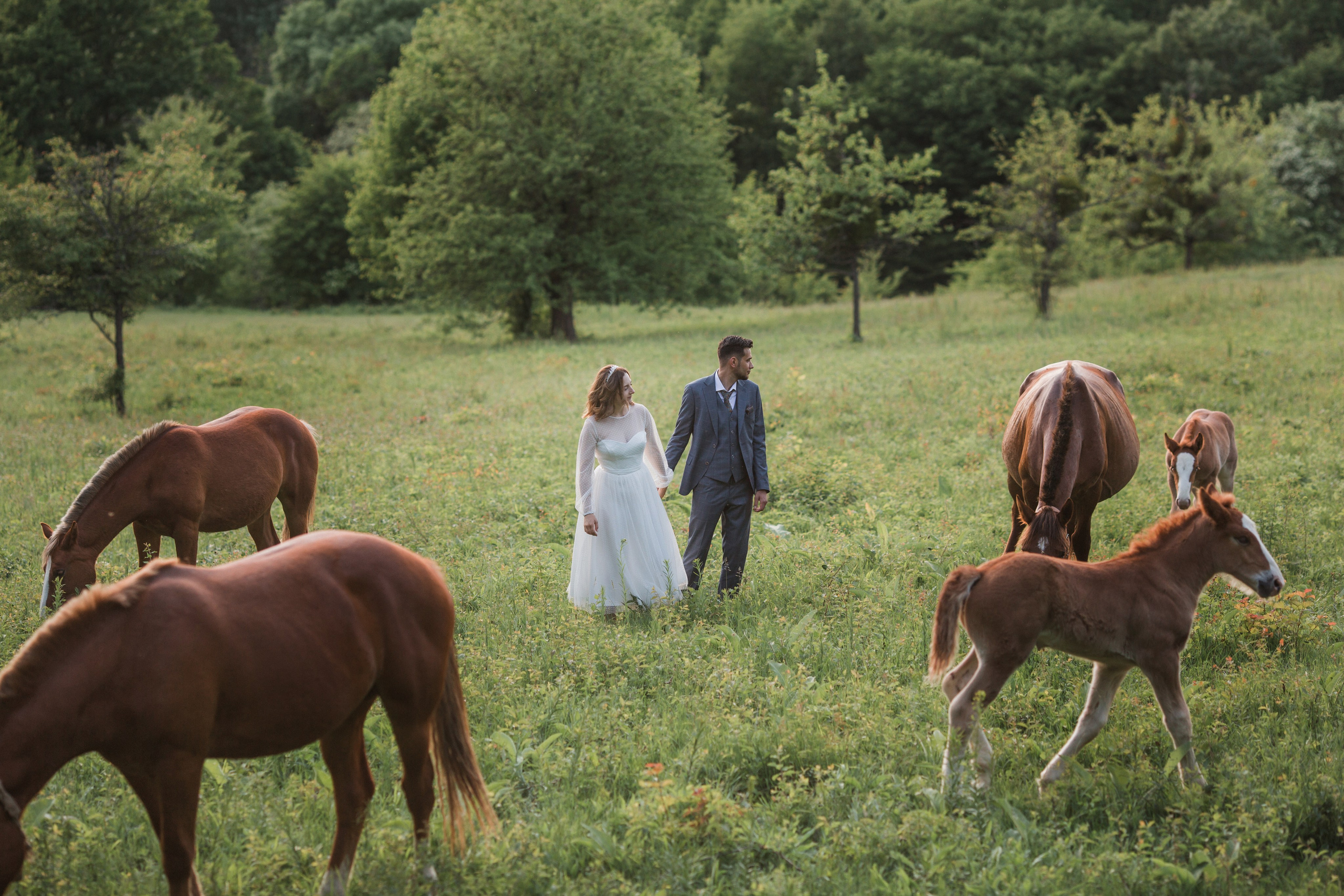 Прогулка в лесу. Свадебный и семейный фотограф в Краснодаре