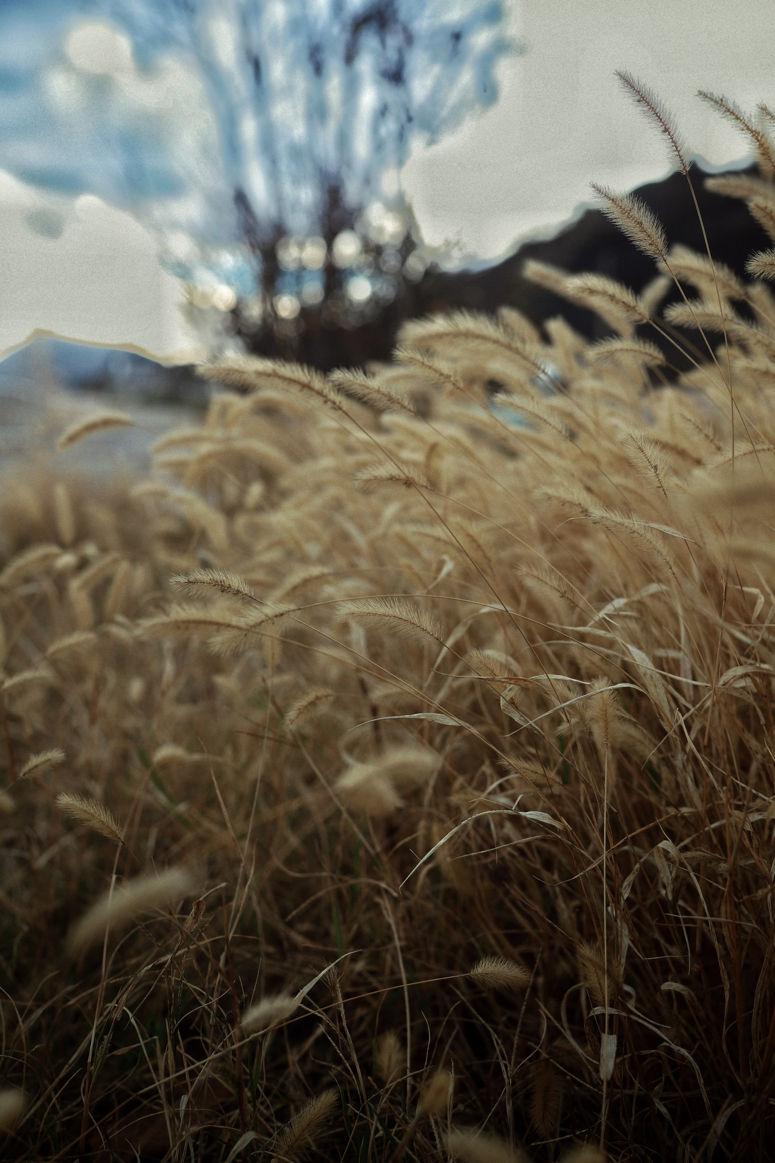Восточная набережная. Фотограф и видеограф в Санкт-Петербурге