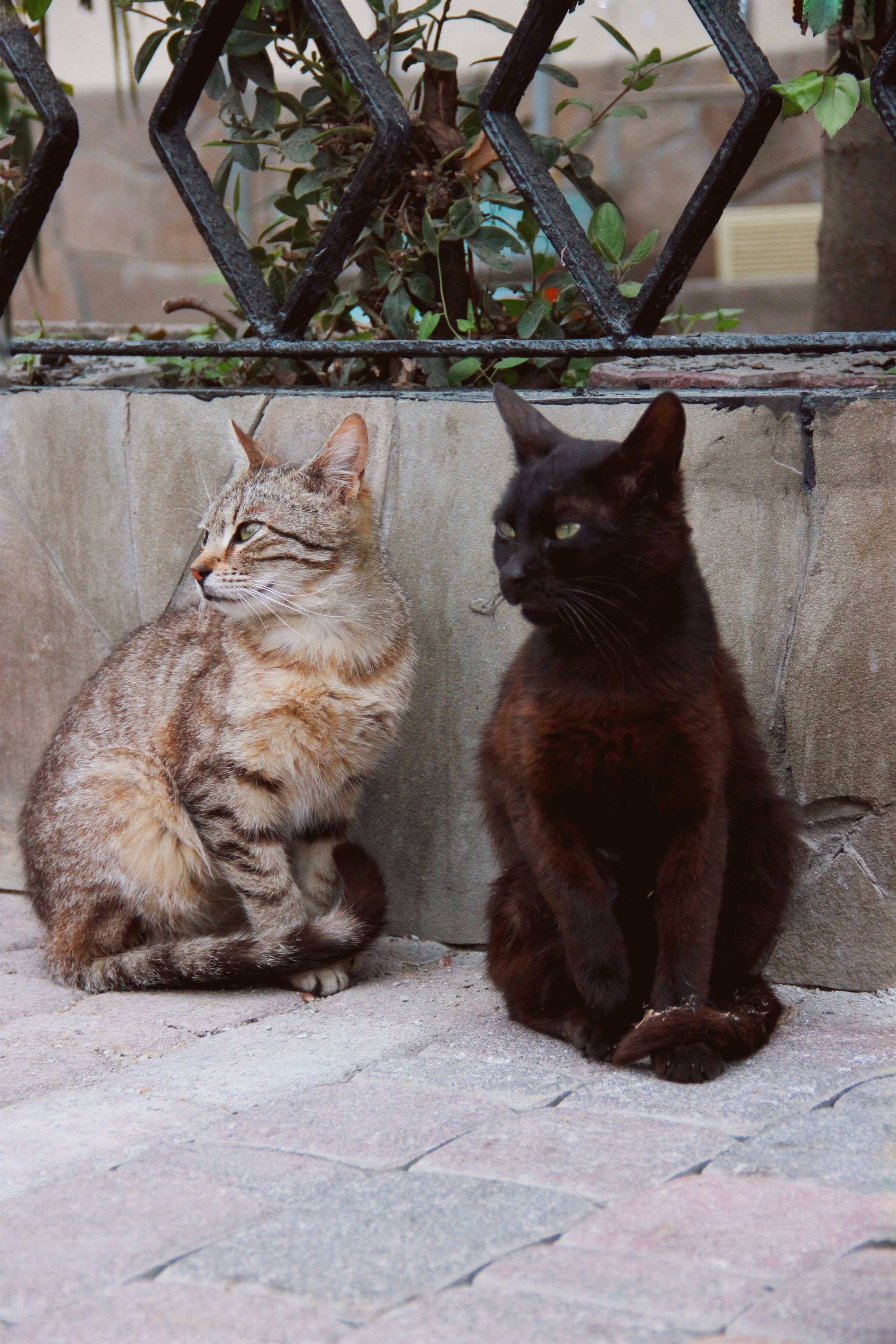 Крым. Фотограф и видеограф в Санкт-Петербурге