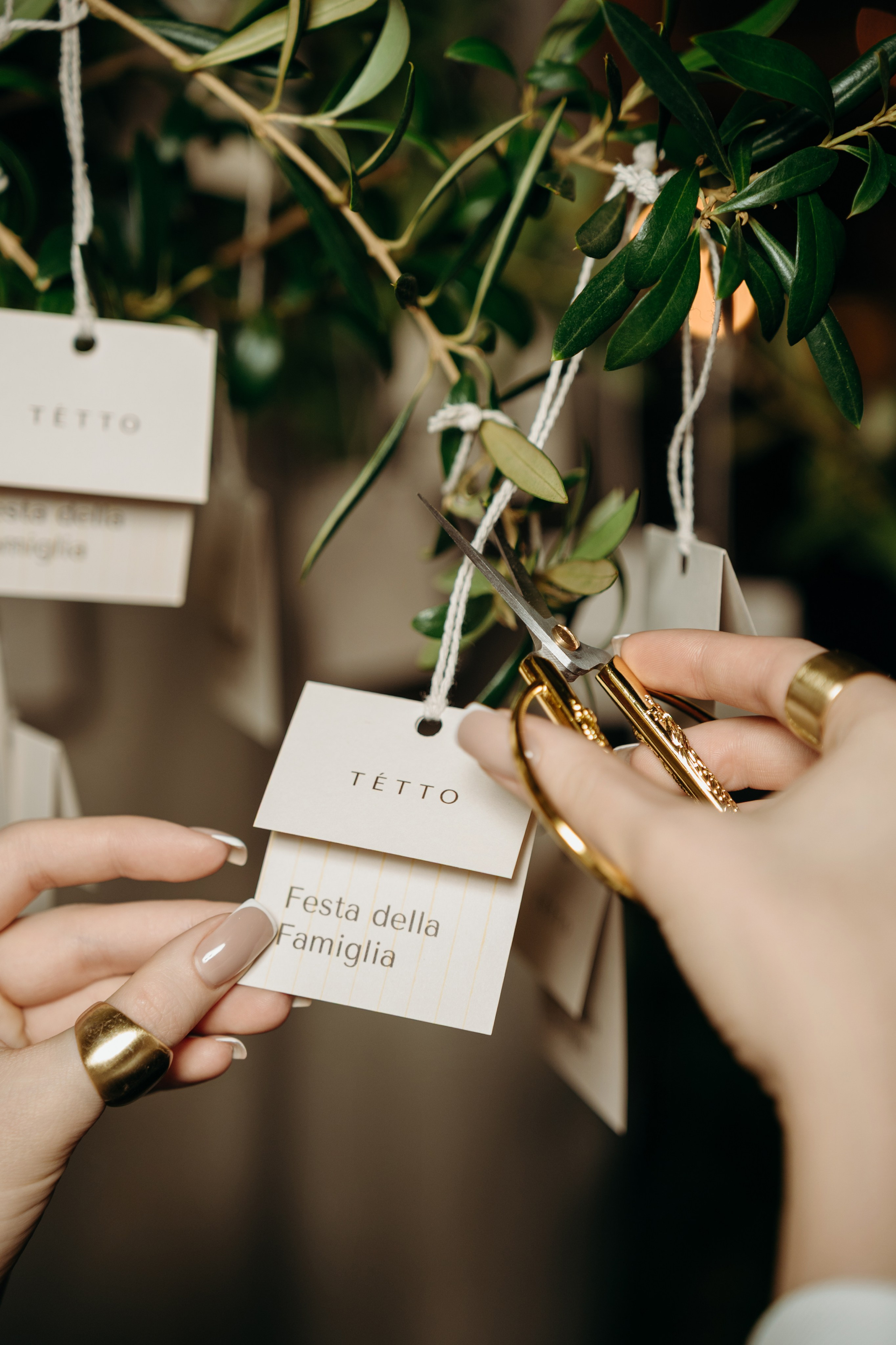 TETTO // День рождения Ресторана. Фотограф Элина Брусенцева