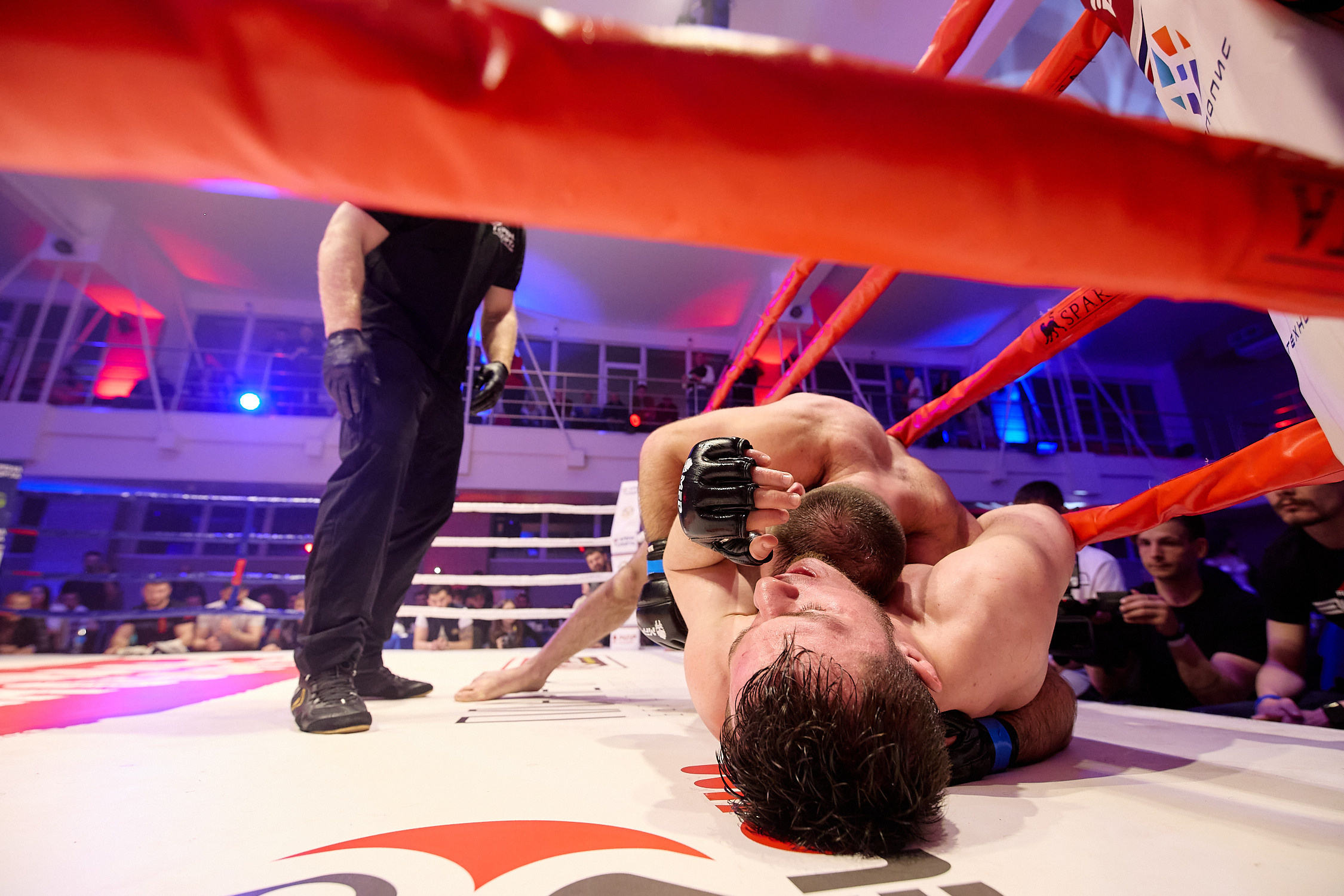 Спортивный Фотограф спорт мероприятие Владивосток единоборства ММА 