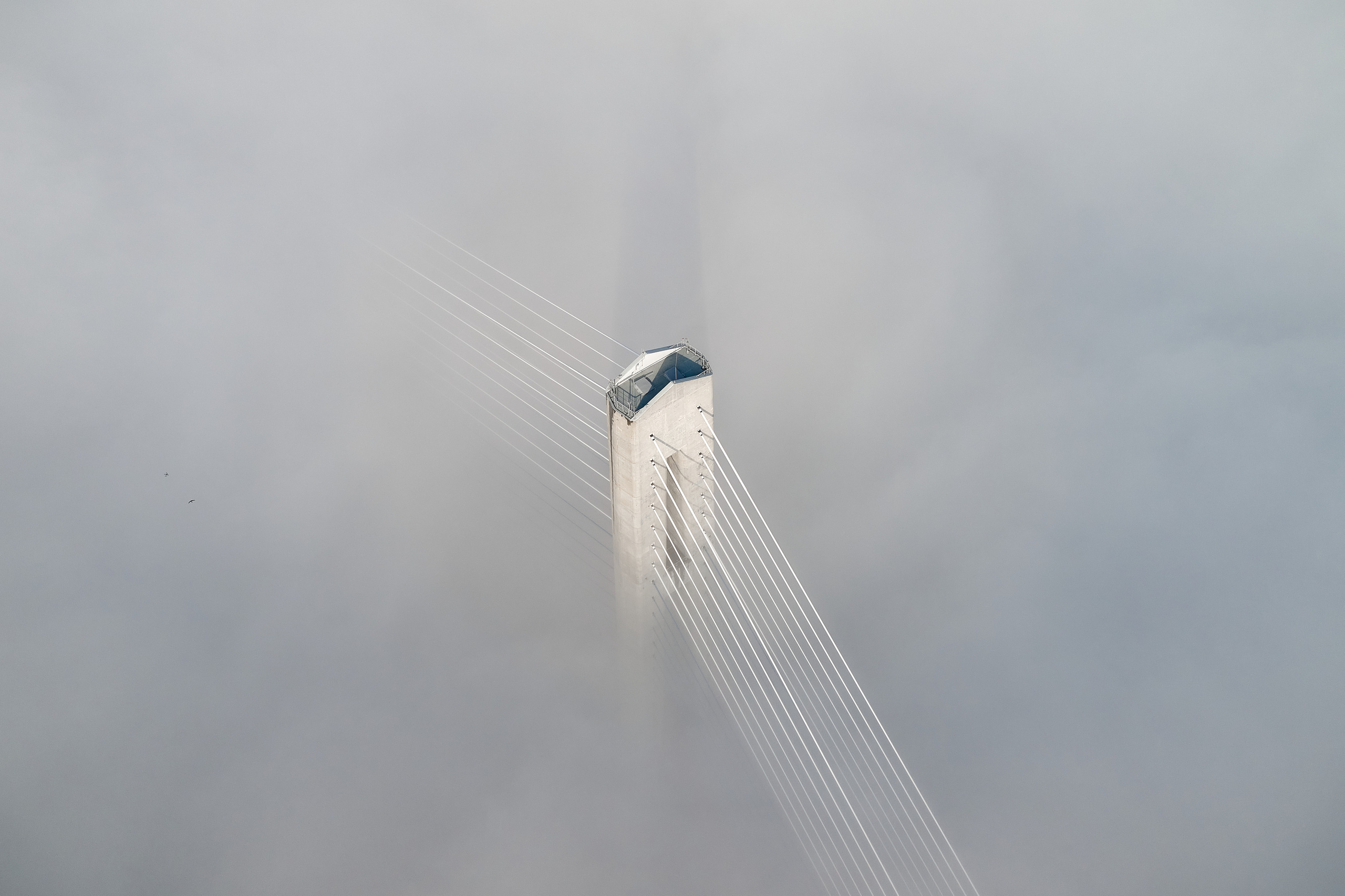 Аэросъёмка на дроны DJI и FPV во Владивостоке