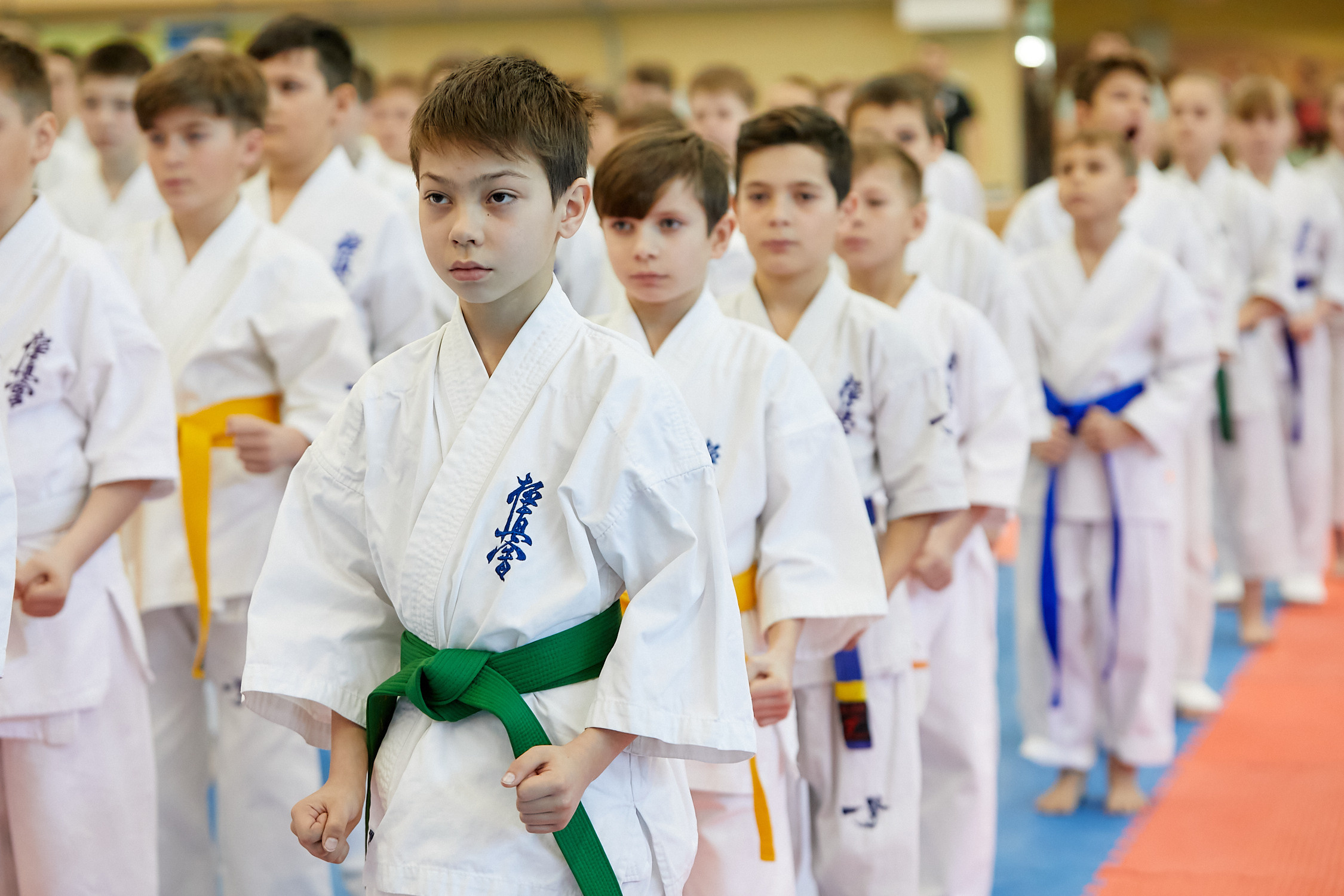 Спортивный Фотограф спорт мероприятие Владивосток единоборства ММА Карате