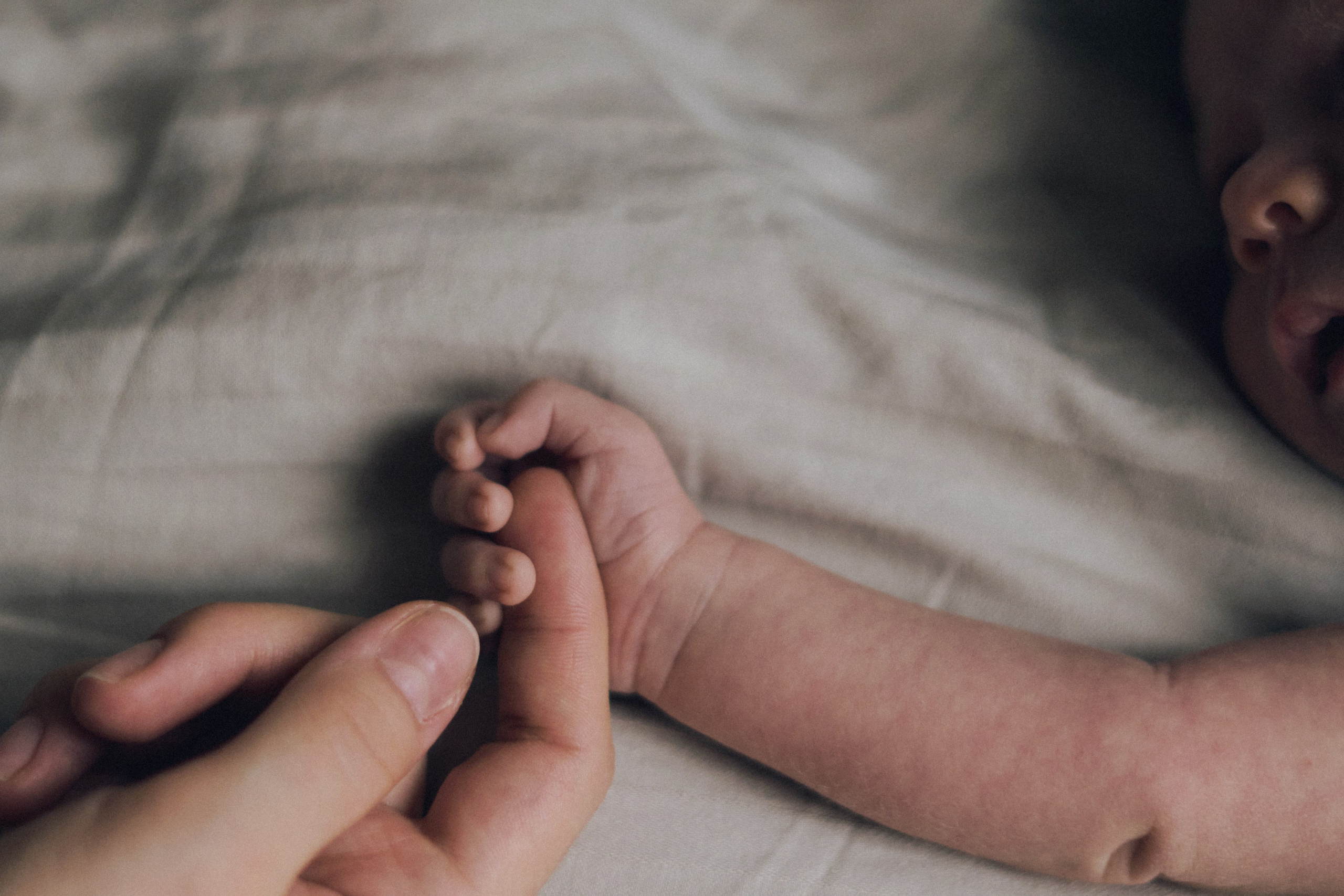 Семья. SHILOVA PHOTO. Шилова Екатерина. Фотограф. Москва