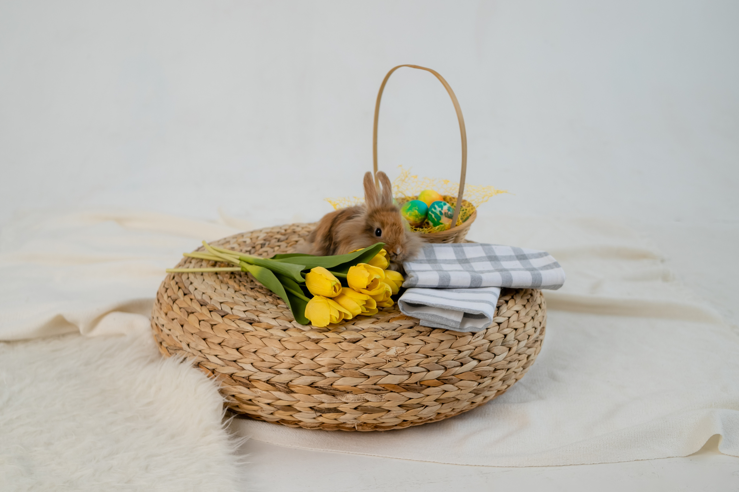 Фотопроект посвященный празднику Пасхи Семейная съемка. Клусова Татьяна фотограф Тольятти