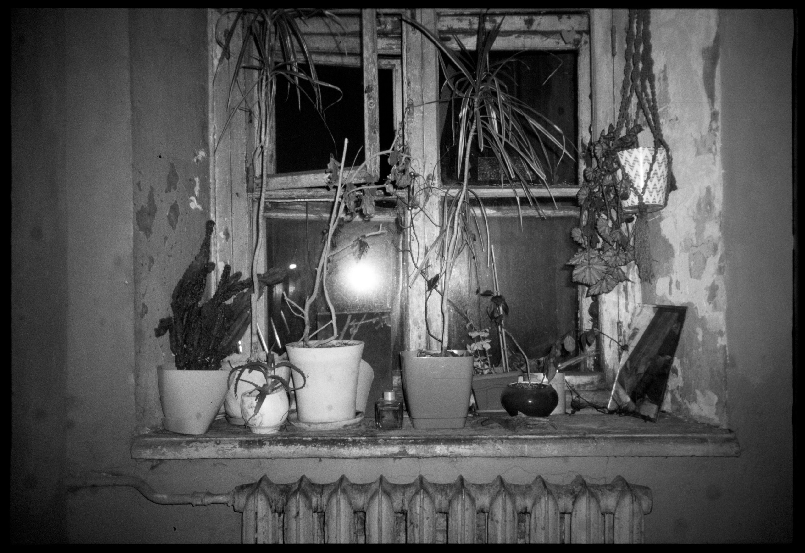 SILK ROAD. Dima Ptitsyn