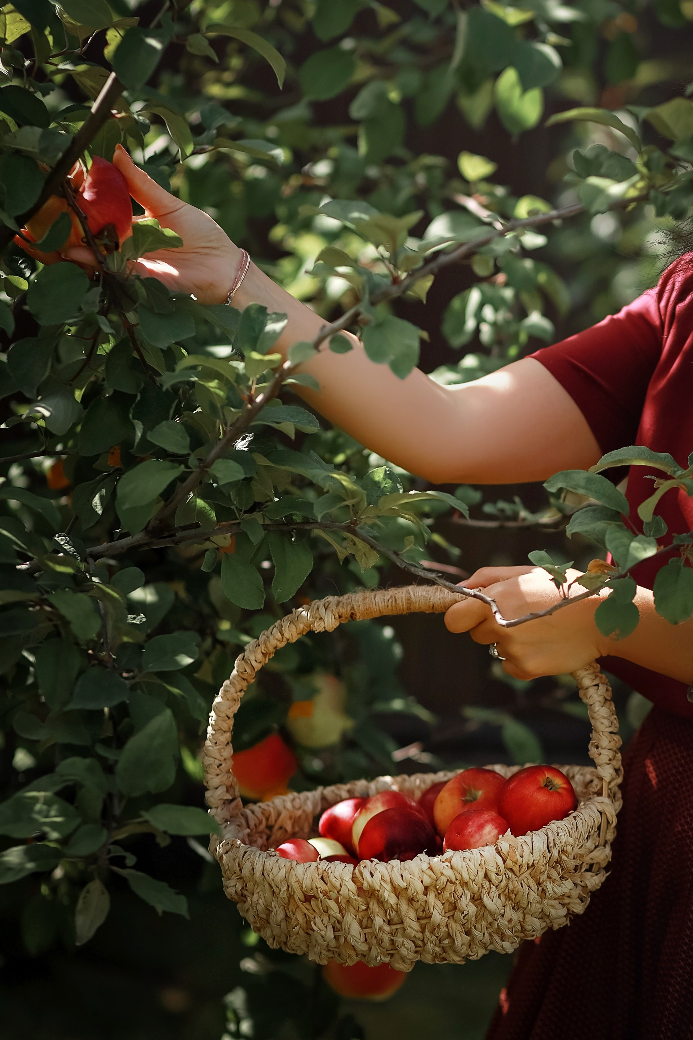 Елена и семья. Фотограф в Москве Ксения Мокрушина | Brand & Women photographer