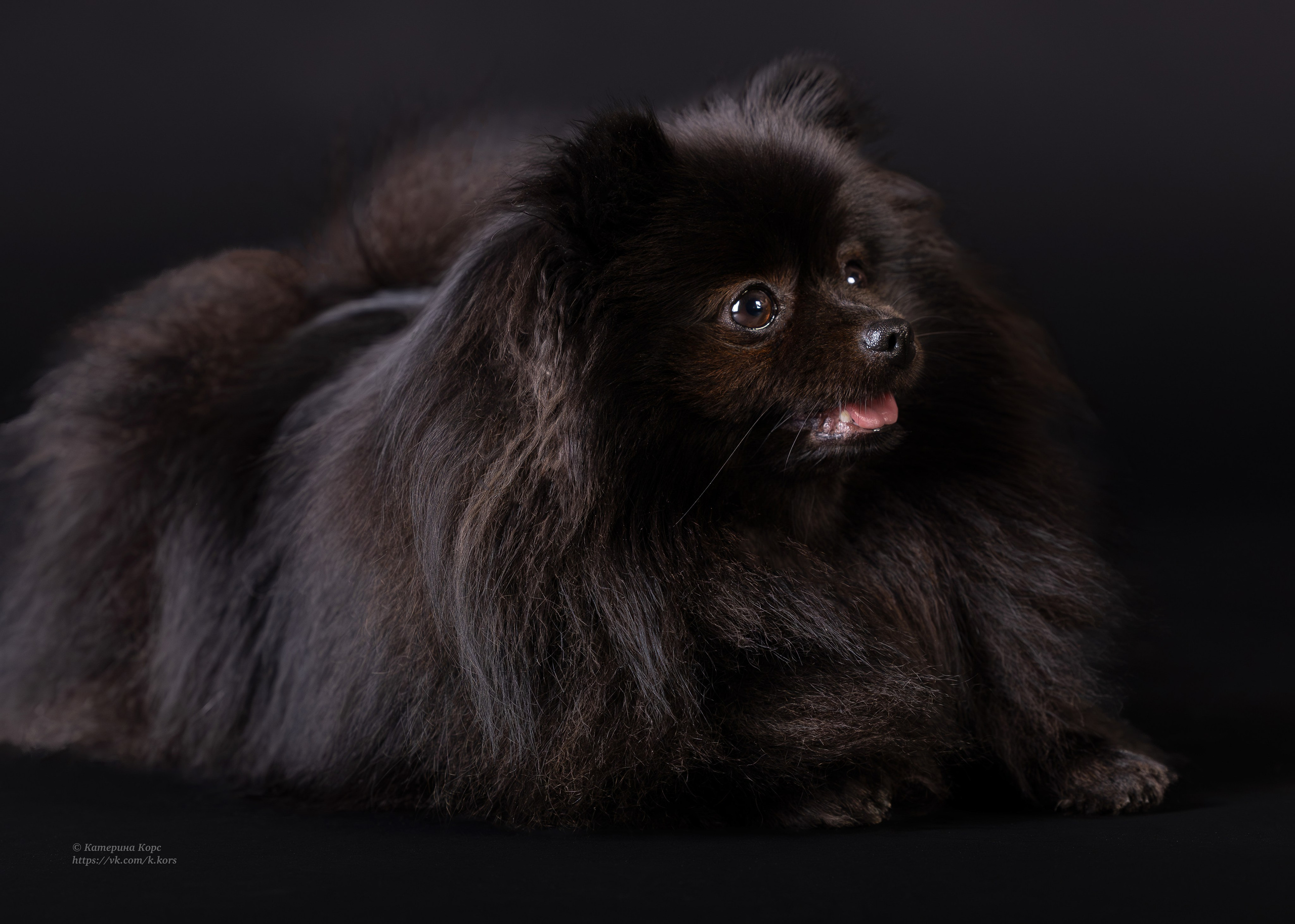 Студия. Главная